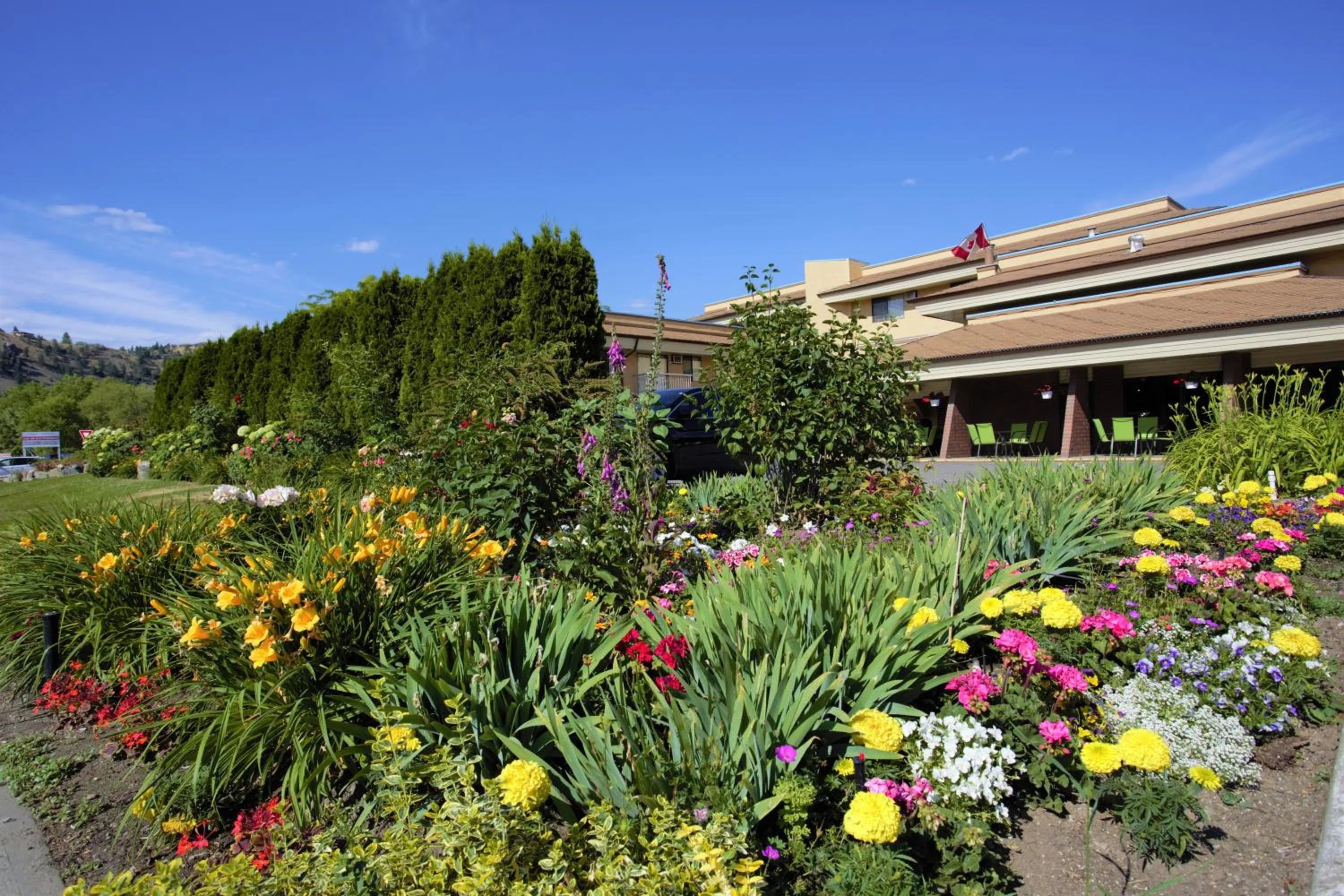 Garden in Dilworth Inn Kelowna
