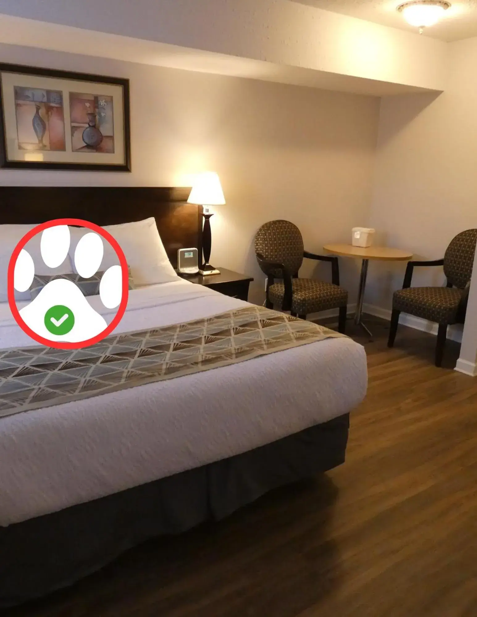 Standard 1 Queen with Kitchenette (Pet Friendly) in Dilworth Inn Kelowna Standard 1 Queen with Kitchenette (Pet Friendly) in Dilworth Inn Kelowna