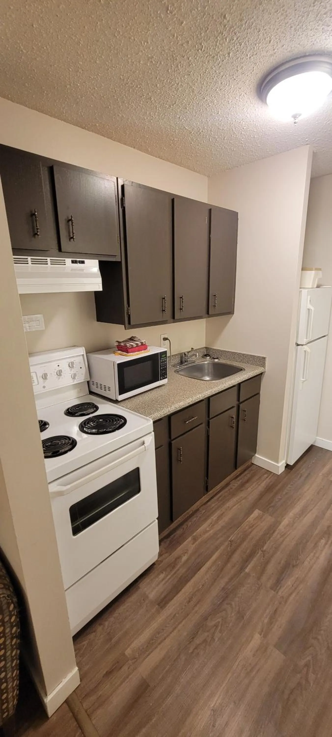 Kitchen or kitchenette in Recreation Inn and Suites Kelowna
