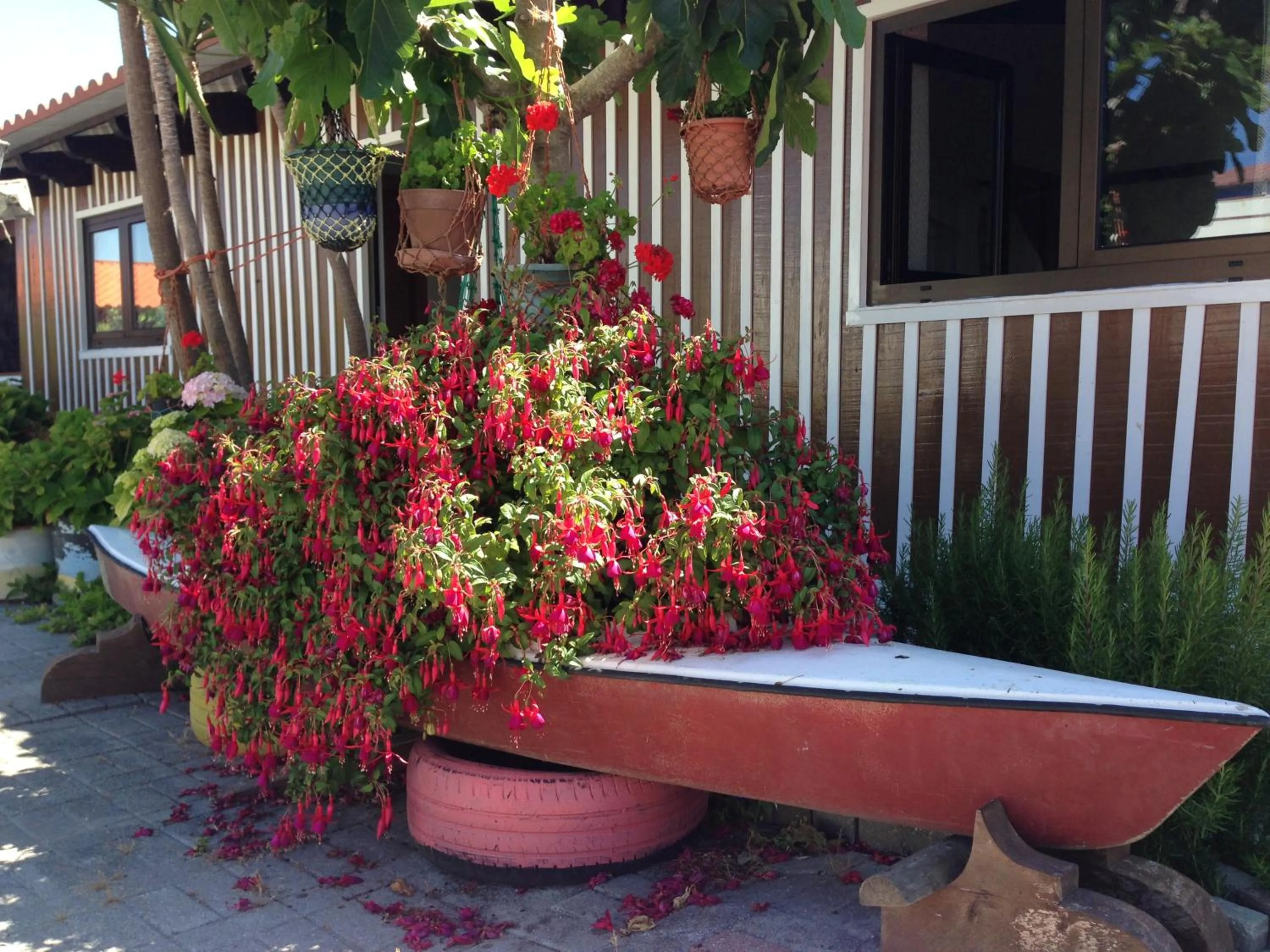 Patio in Palheiros de Mira