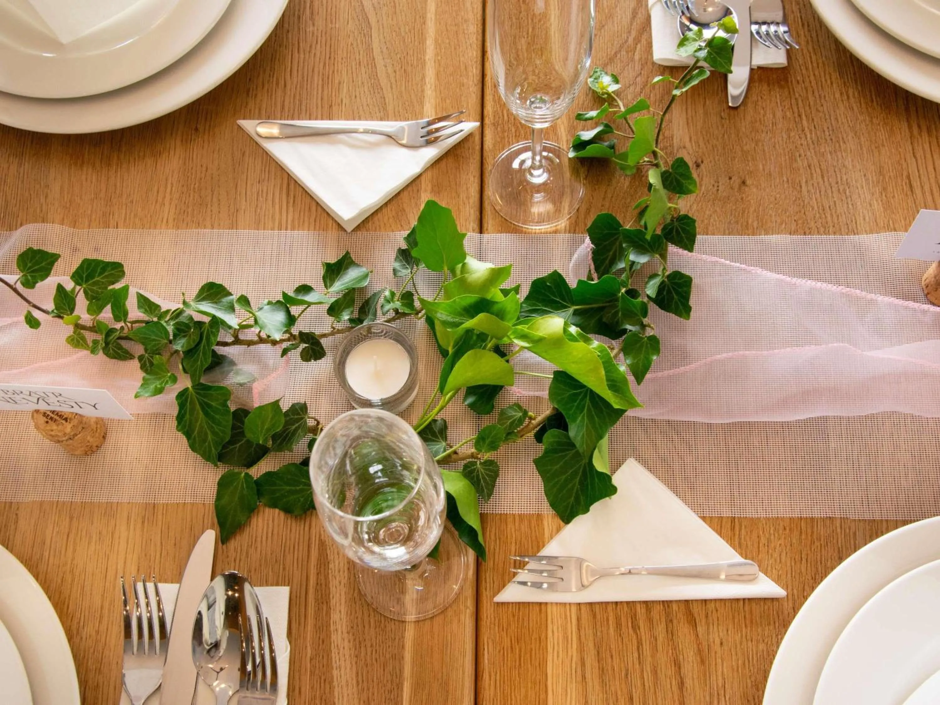 wedding in Ibis Hotel Plzeň