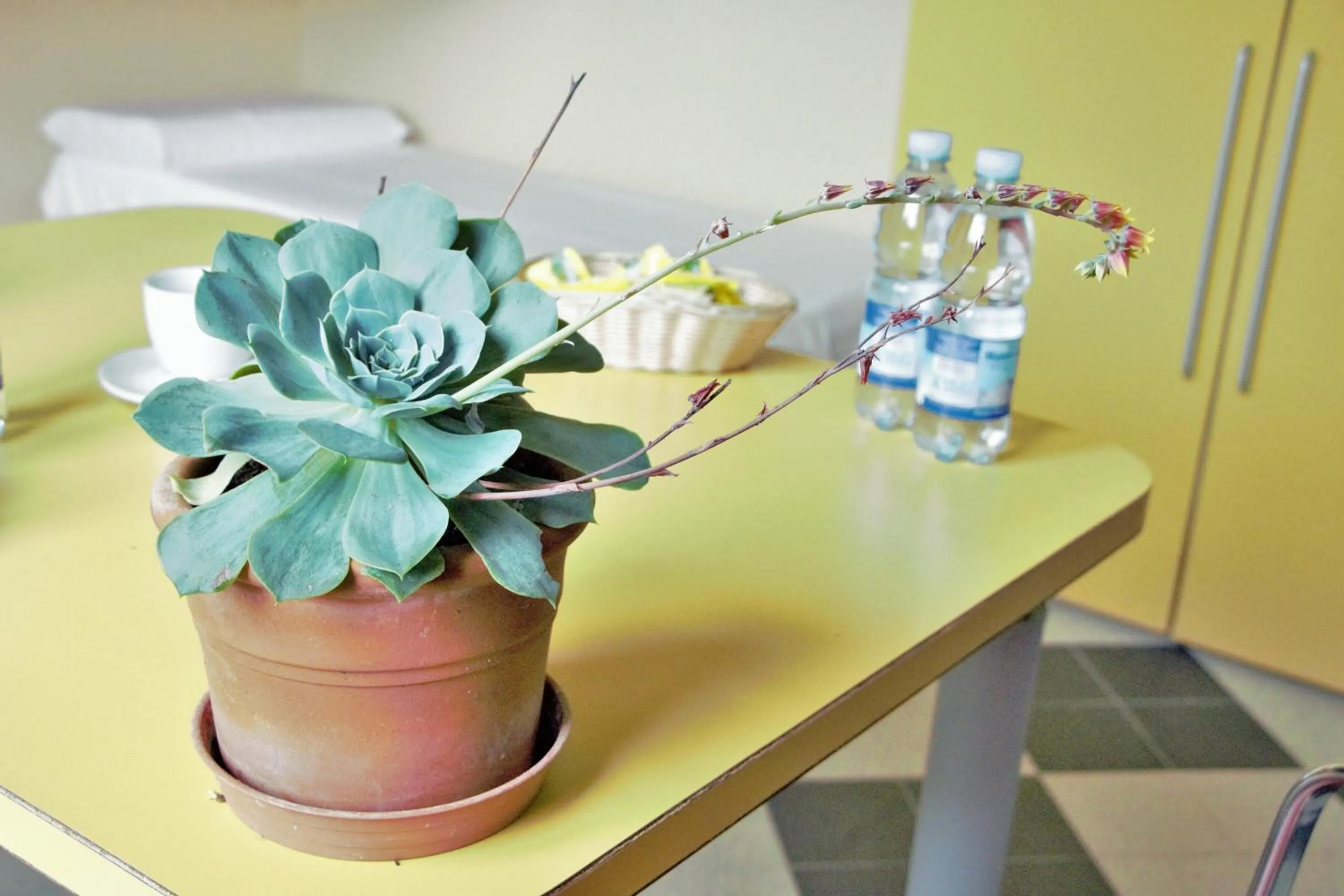 Bedroom in Ostello La Miniera