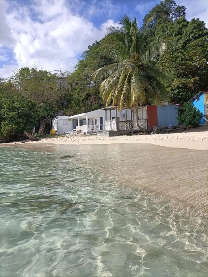 TI PARADIS DE l'ANSE FIGUIER VILLA voir site vacances en martinique