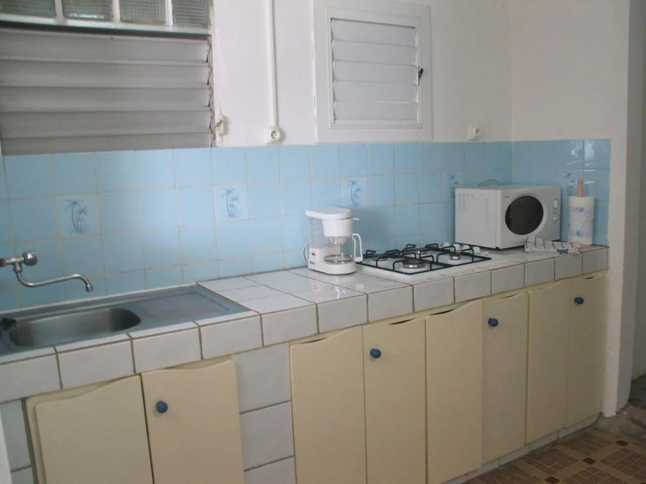 TI PARADIS DE l'ANSE FIGUIER VILLA voir site vacances en martinique