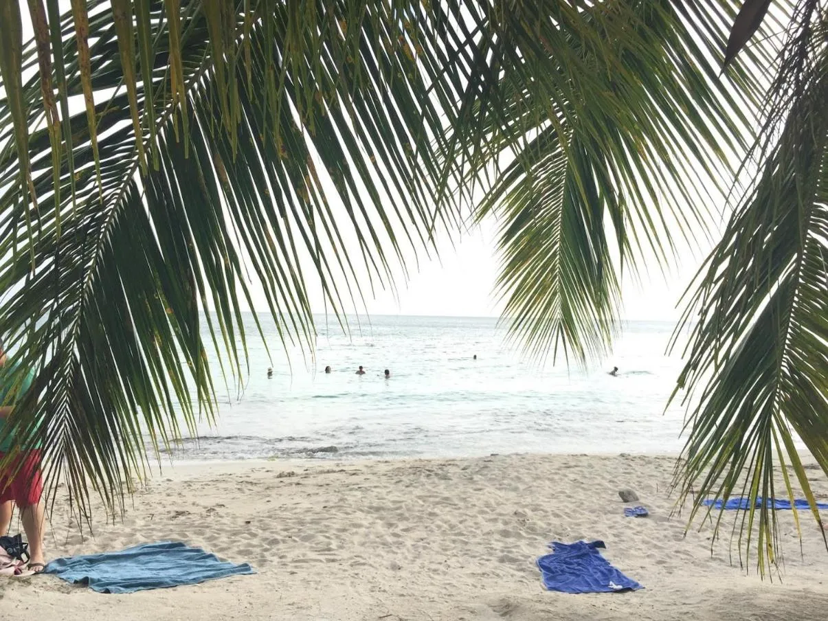 Natural landscape in TI PARADIS DE l'ANSE FIGUIER VILLA voir site vacances en martinique