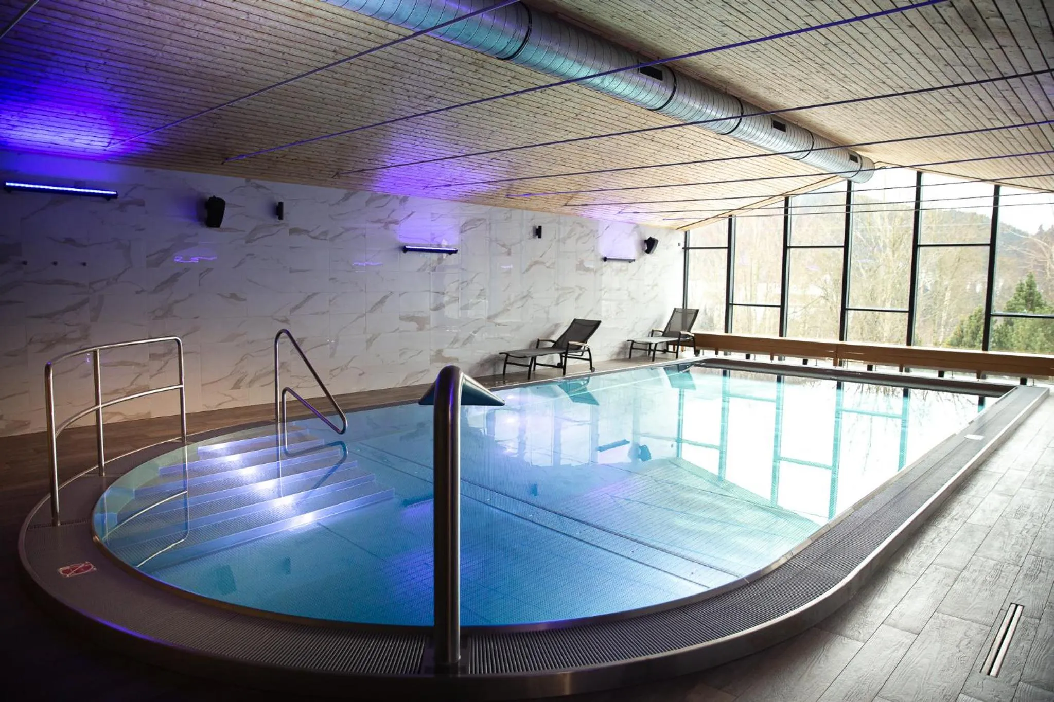 Swimming pool in Wellness Hotel Astra