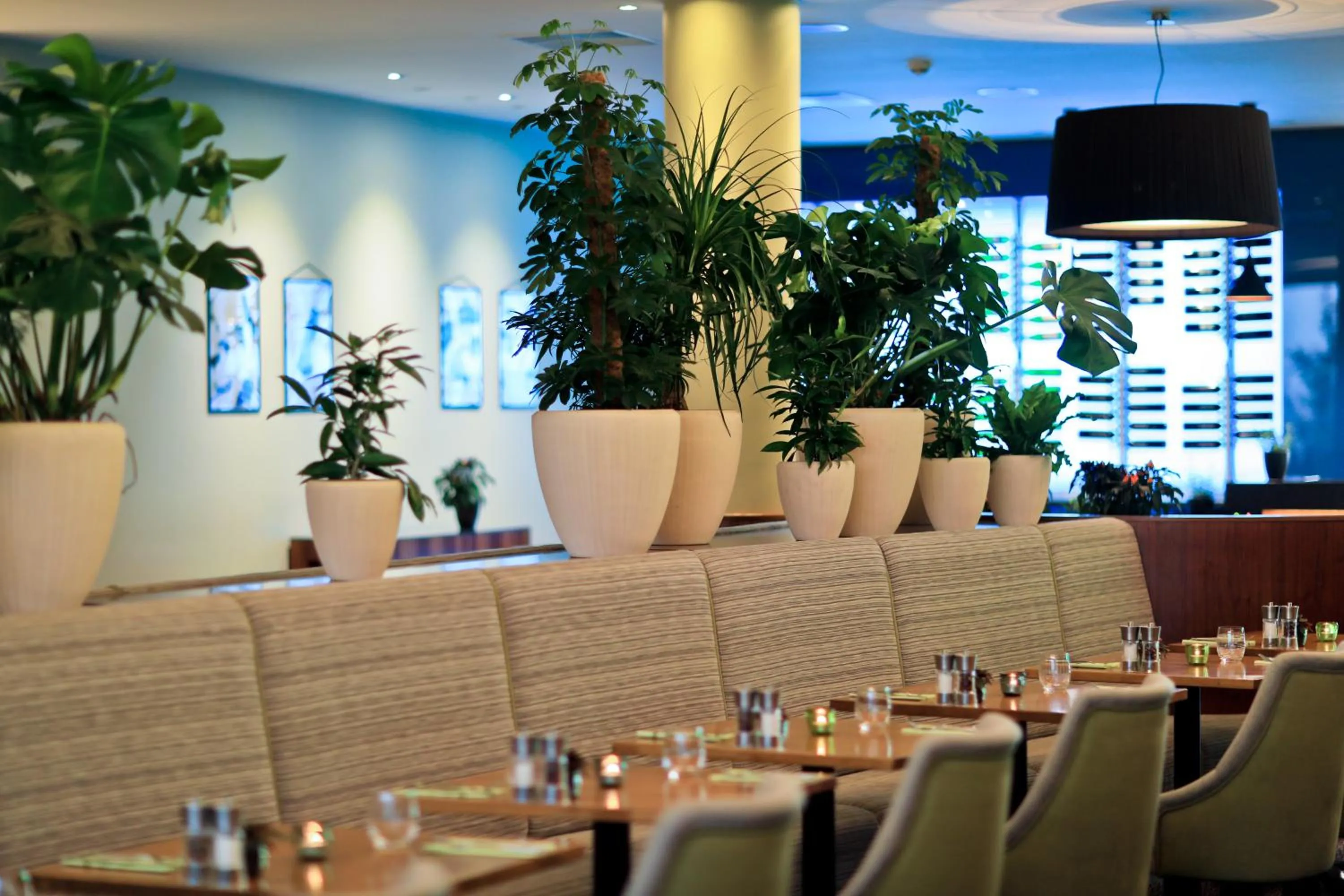 Restaurant/places to eat in Botanique Hotel Prague