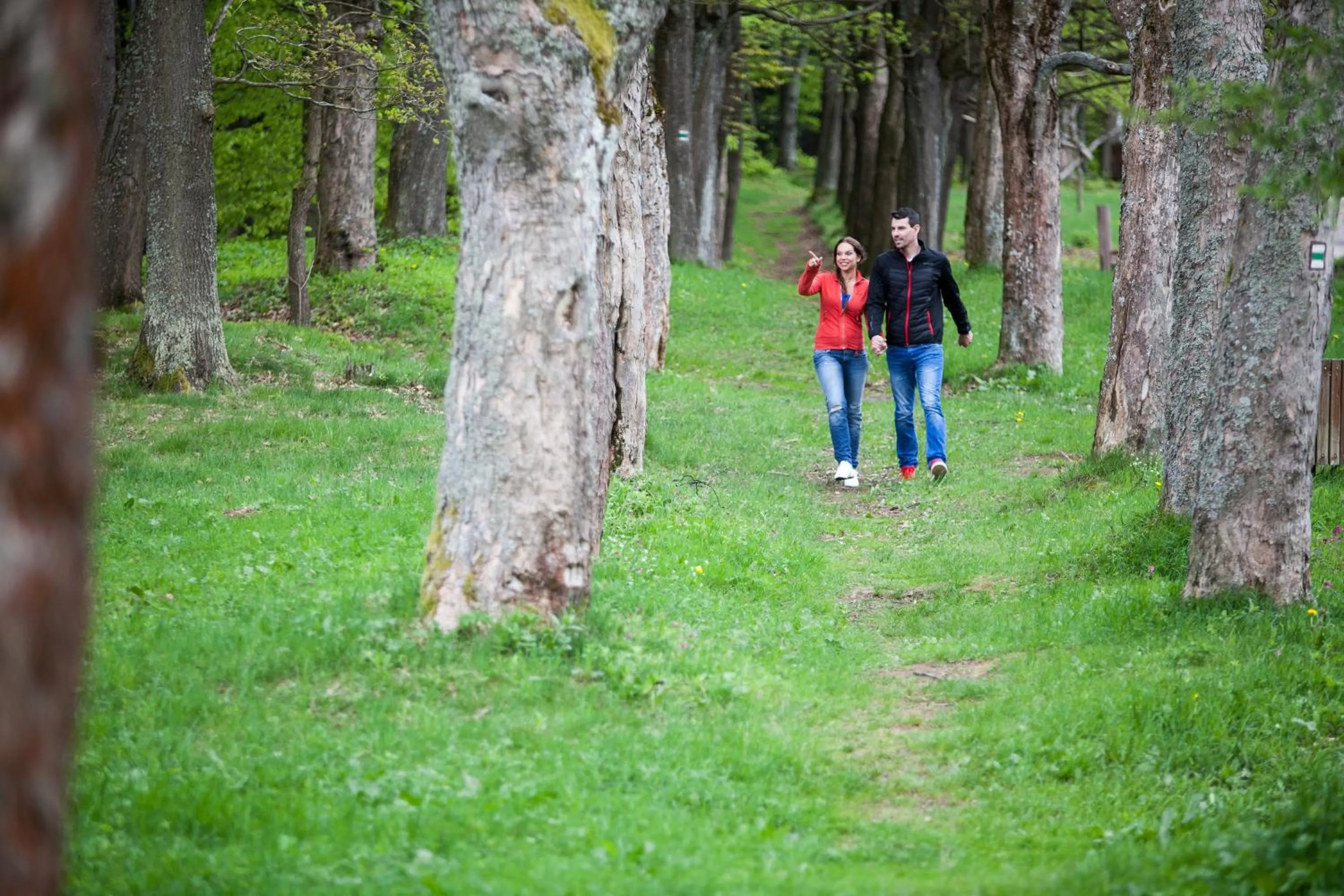 Entertainment in Grund Resort Golf and Ski