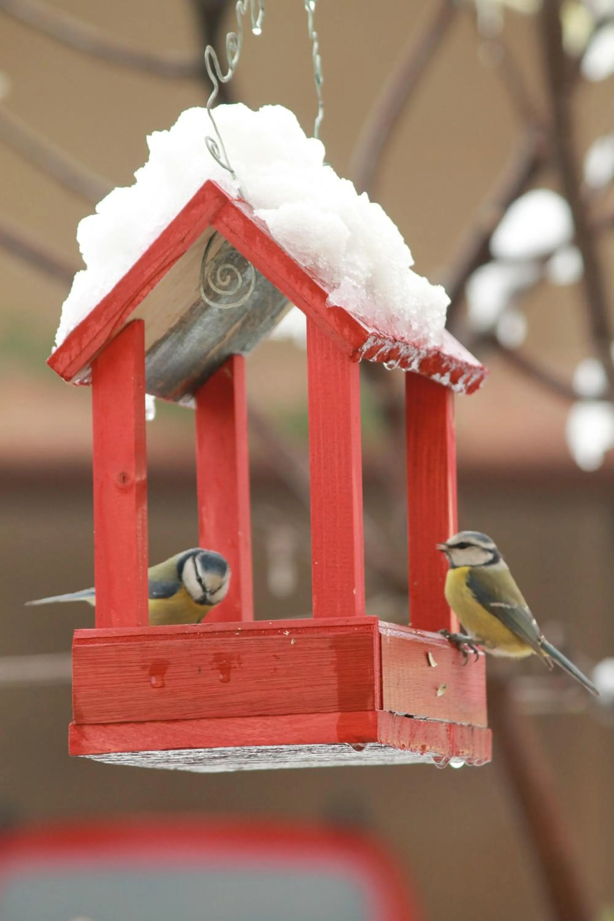 Animals in LA CUCCAGNA DI DON BOSCO - No landlords and neighbours - Absolute privacy!