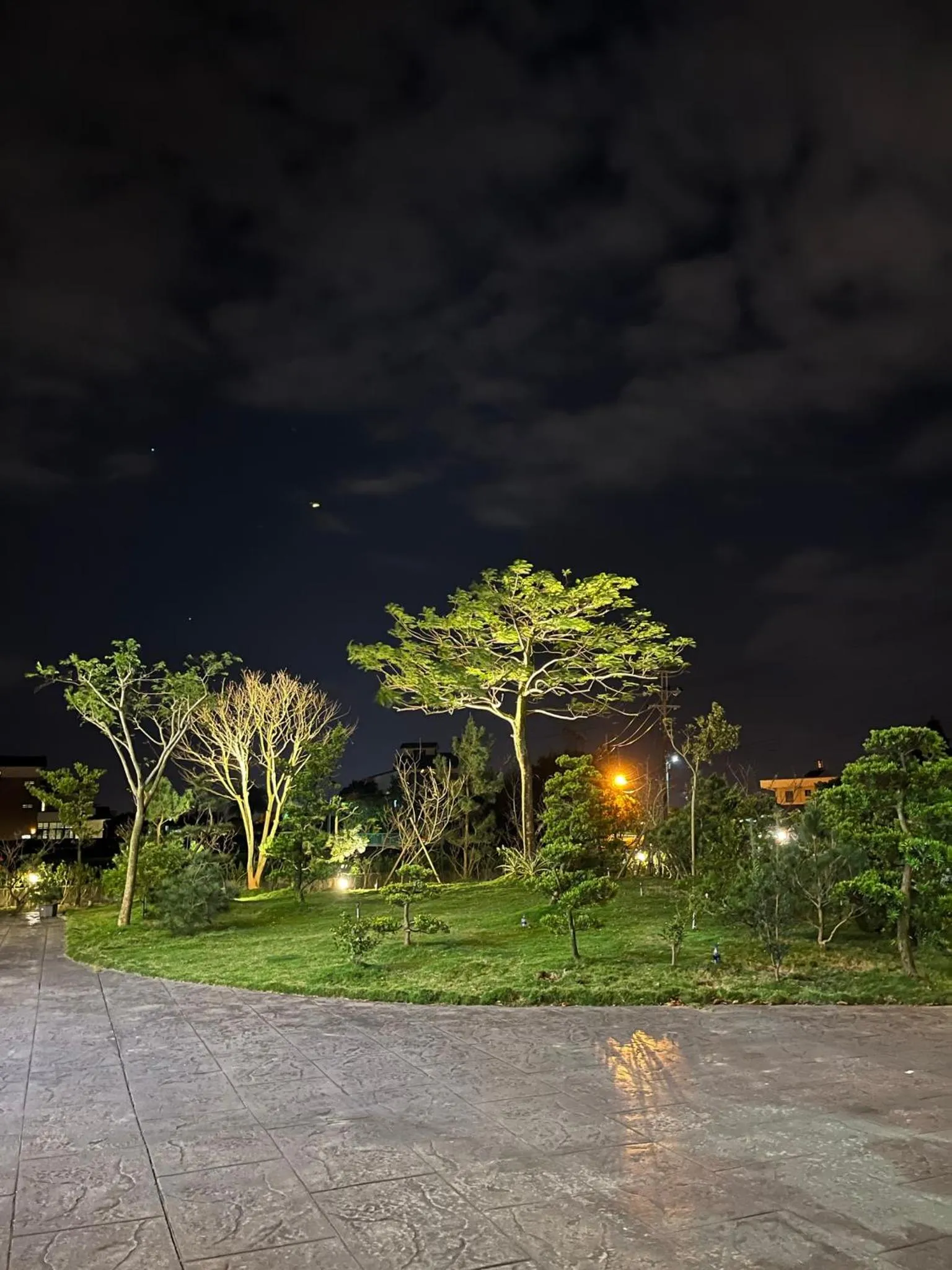 Natural landscape in Colorful Fish Cottage