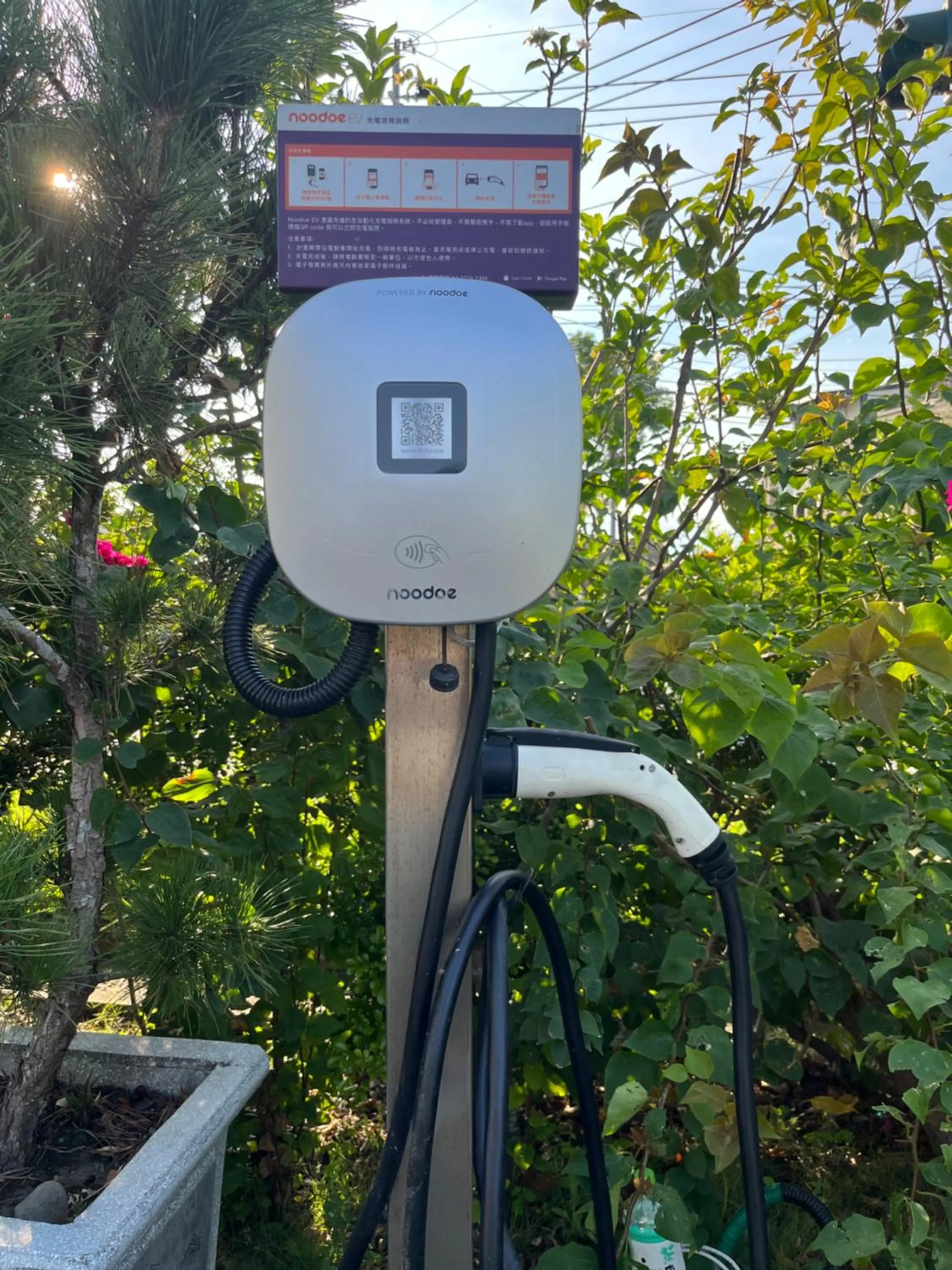 Logo/Certificate/Sign in Colorful Fish Cottage