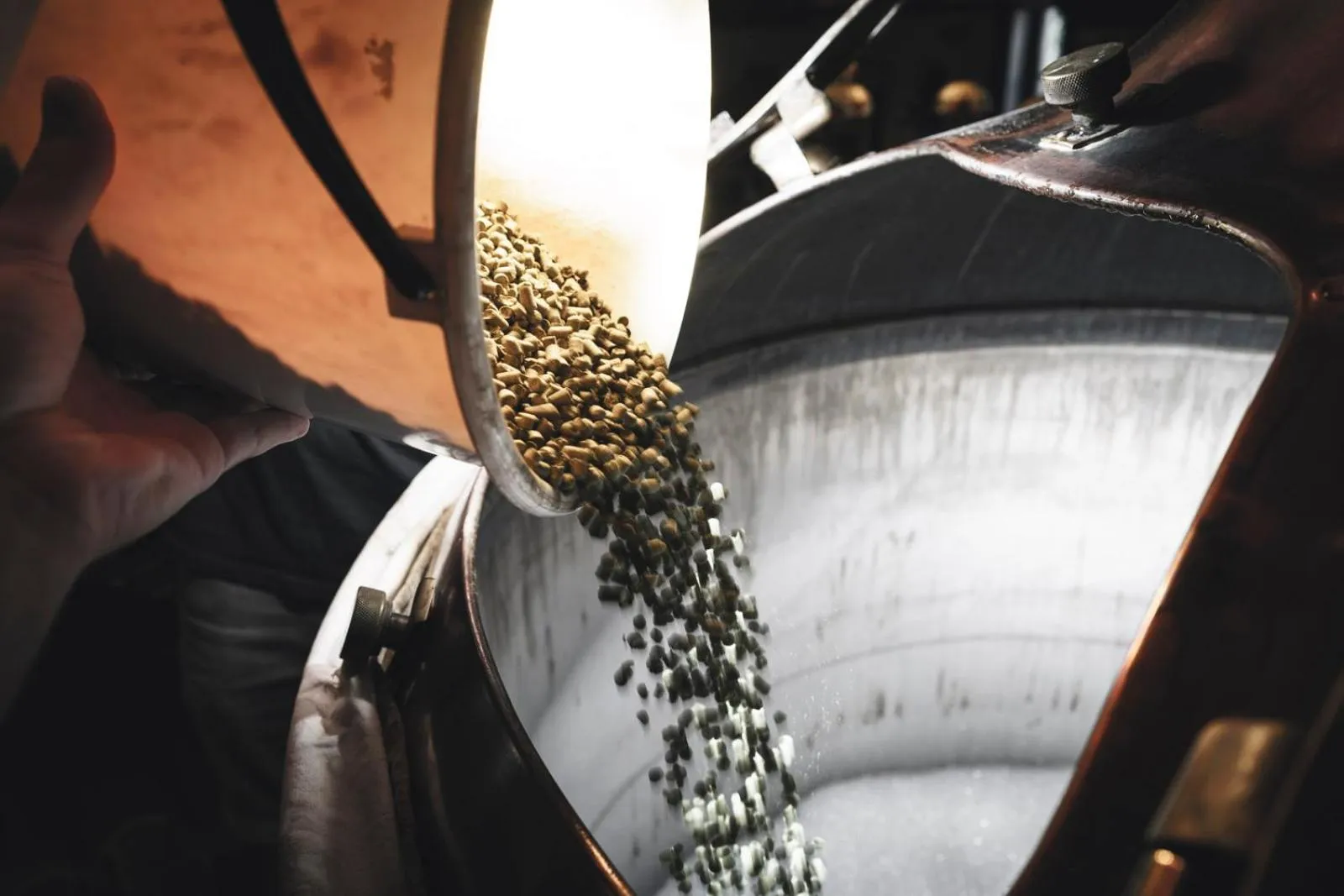 Restaurant/places to eat in Hotel Purkmistr