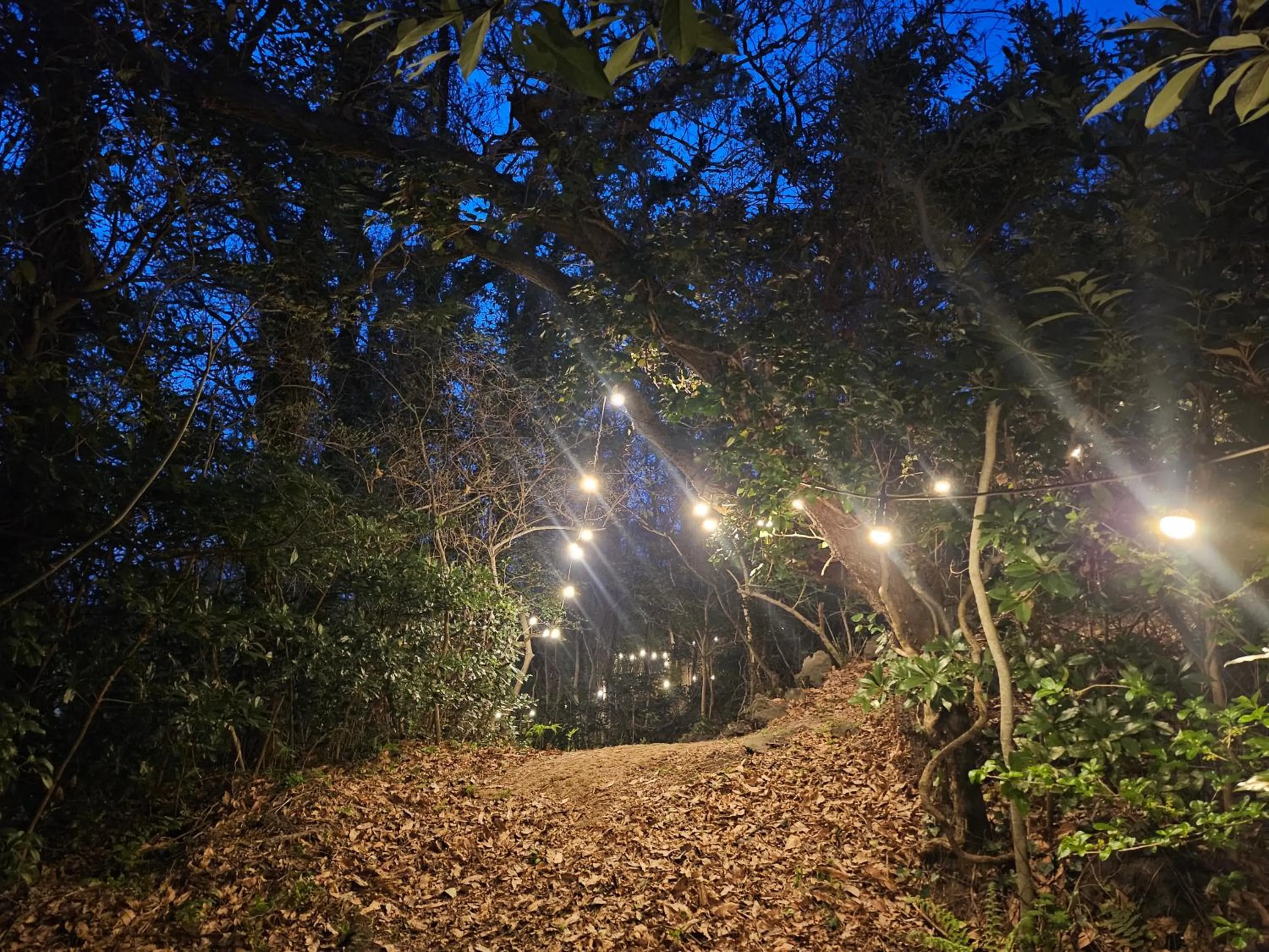 Garden in Pool and Villa Sorang
