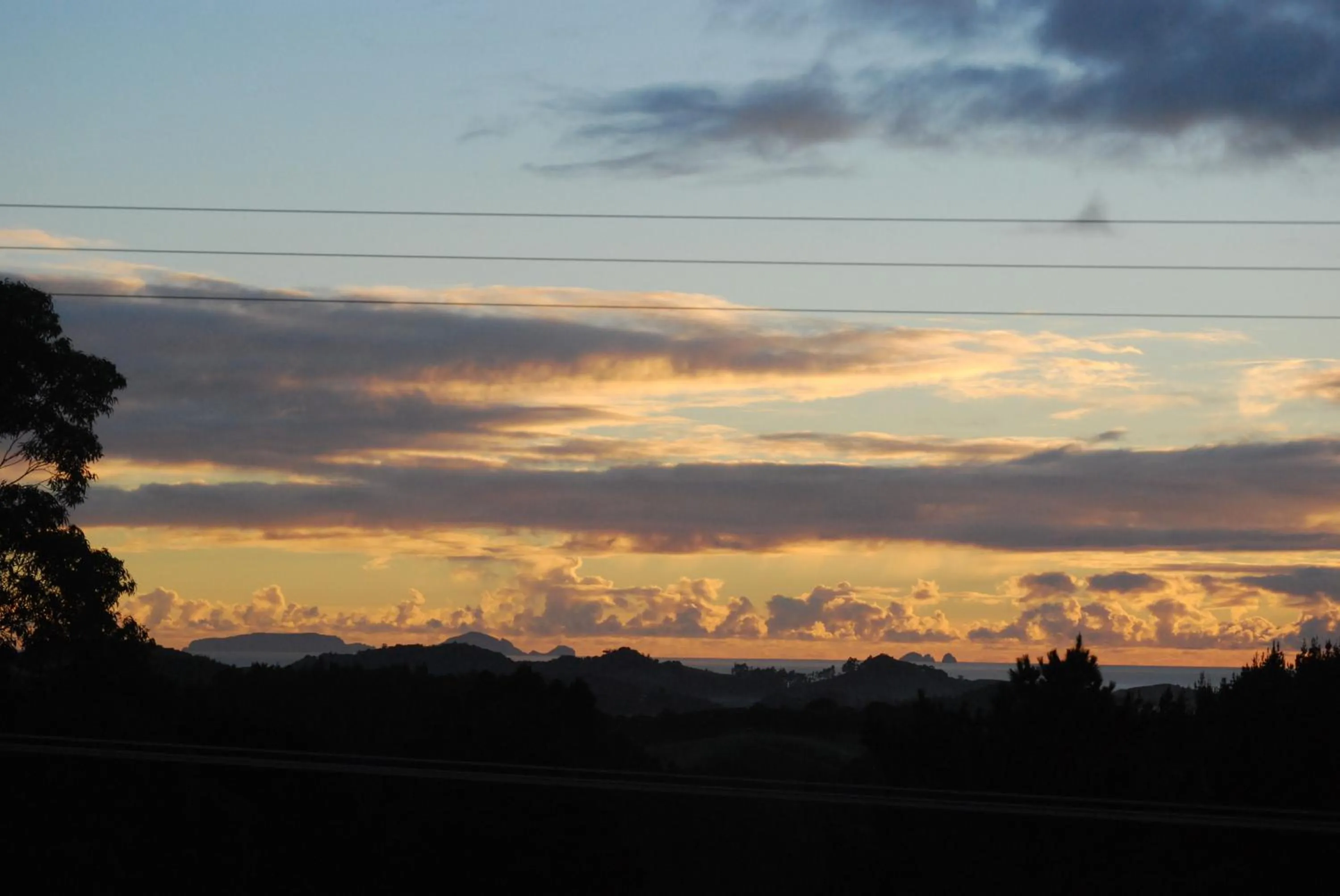 Natural landscape in Kauri Villas