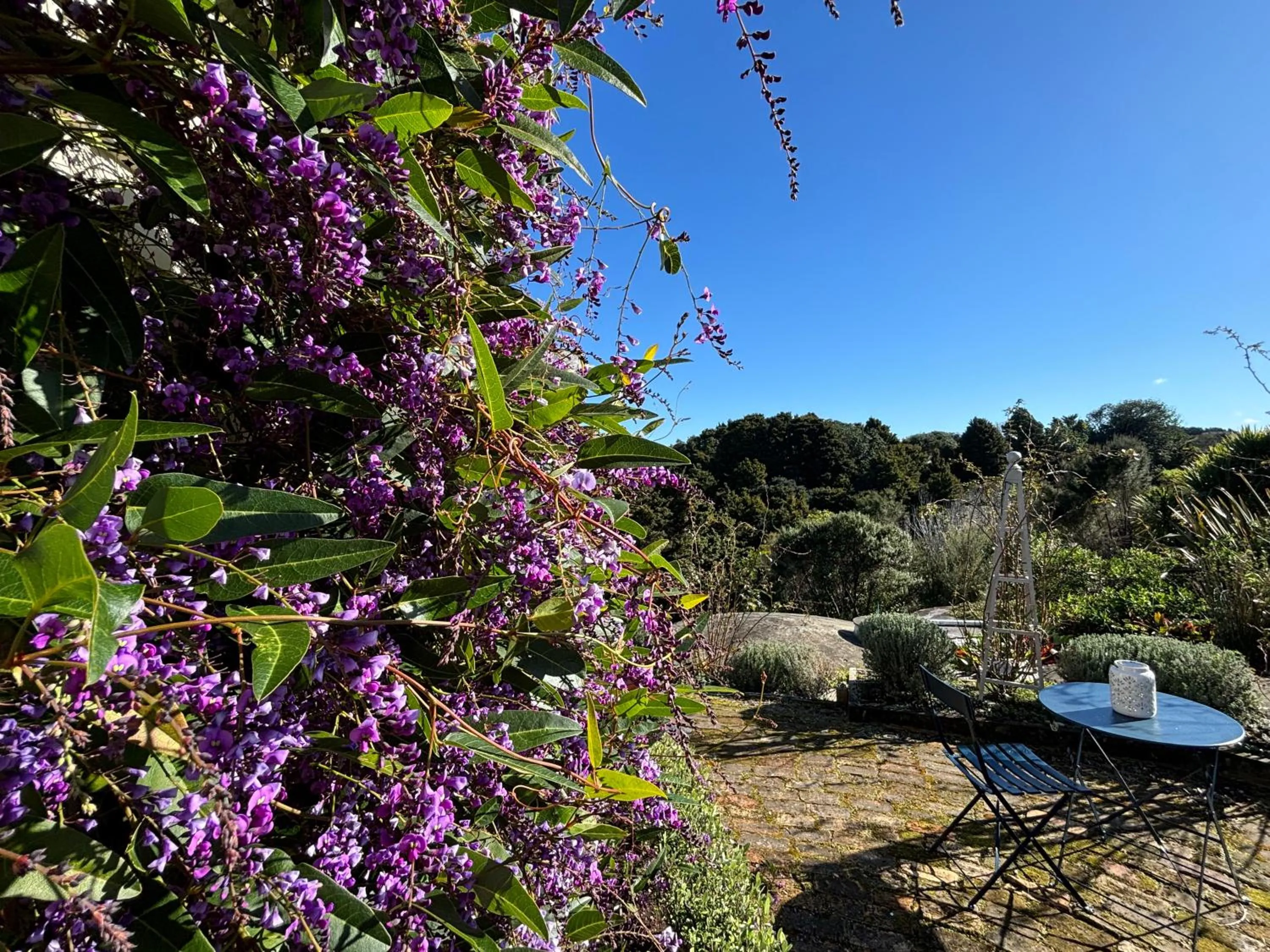 Patio in Kauri Villas