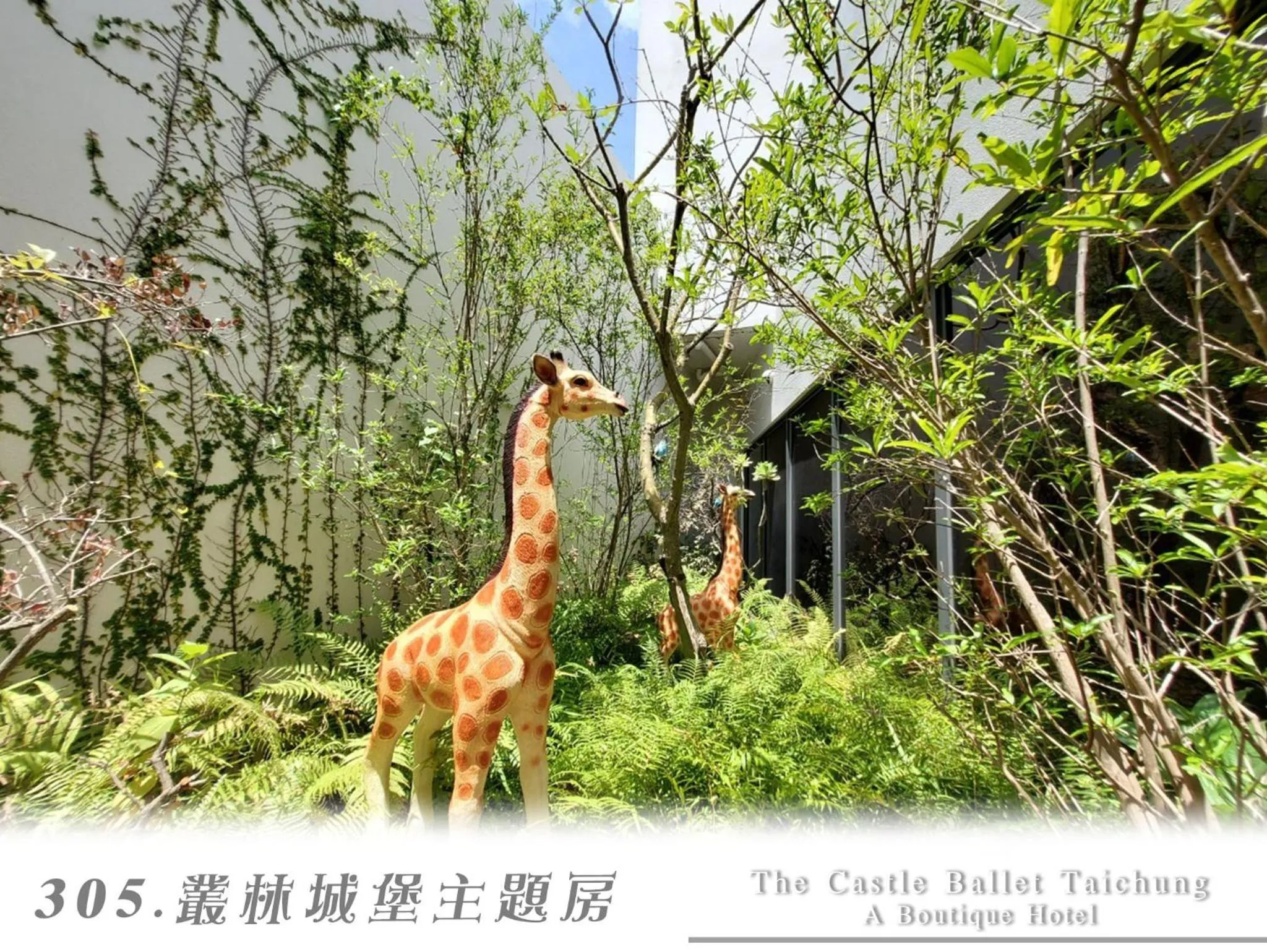 Spring in The Castle Ballet Taichung A Boutique Hotel
