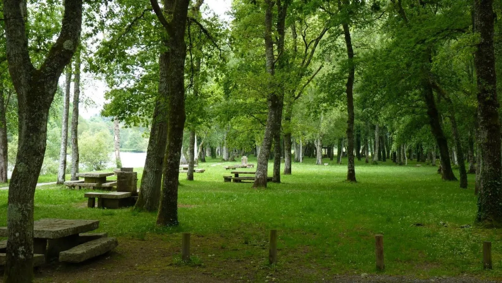 Area and facilities in Coto Real