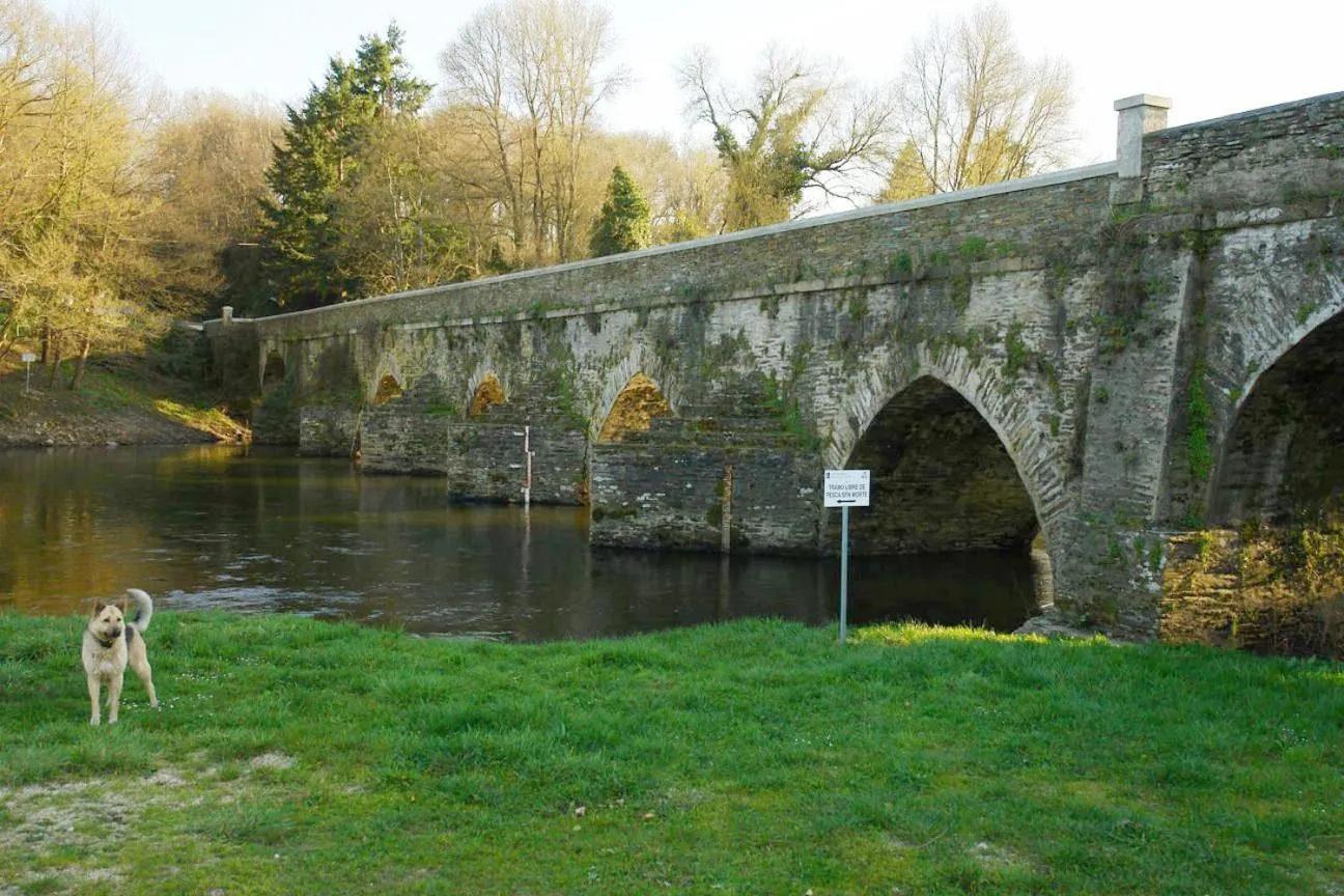 Area and facilities in Coto Real