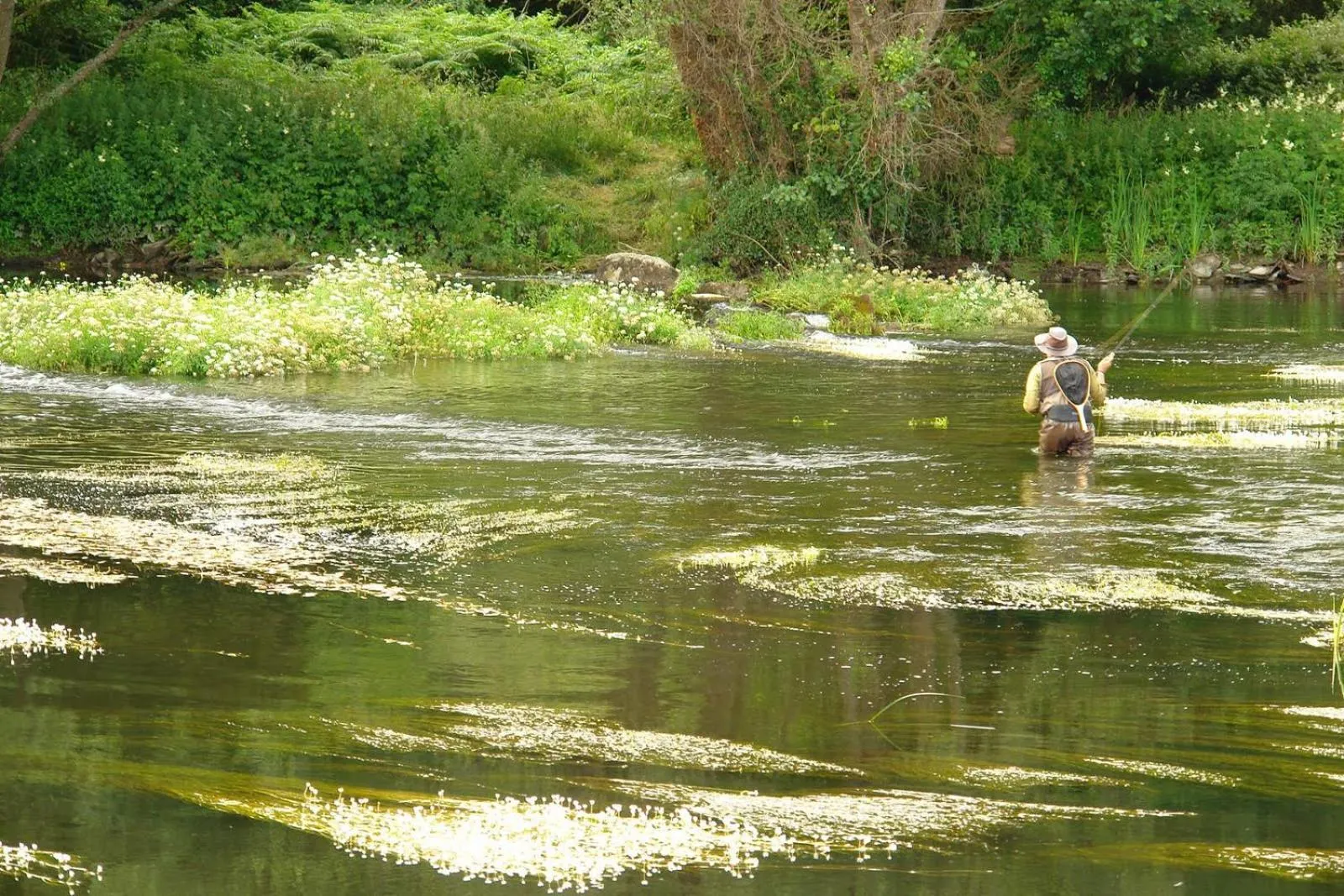 Area and facilities in Coto Real