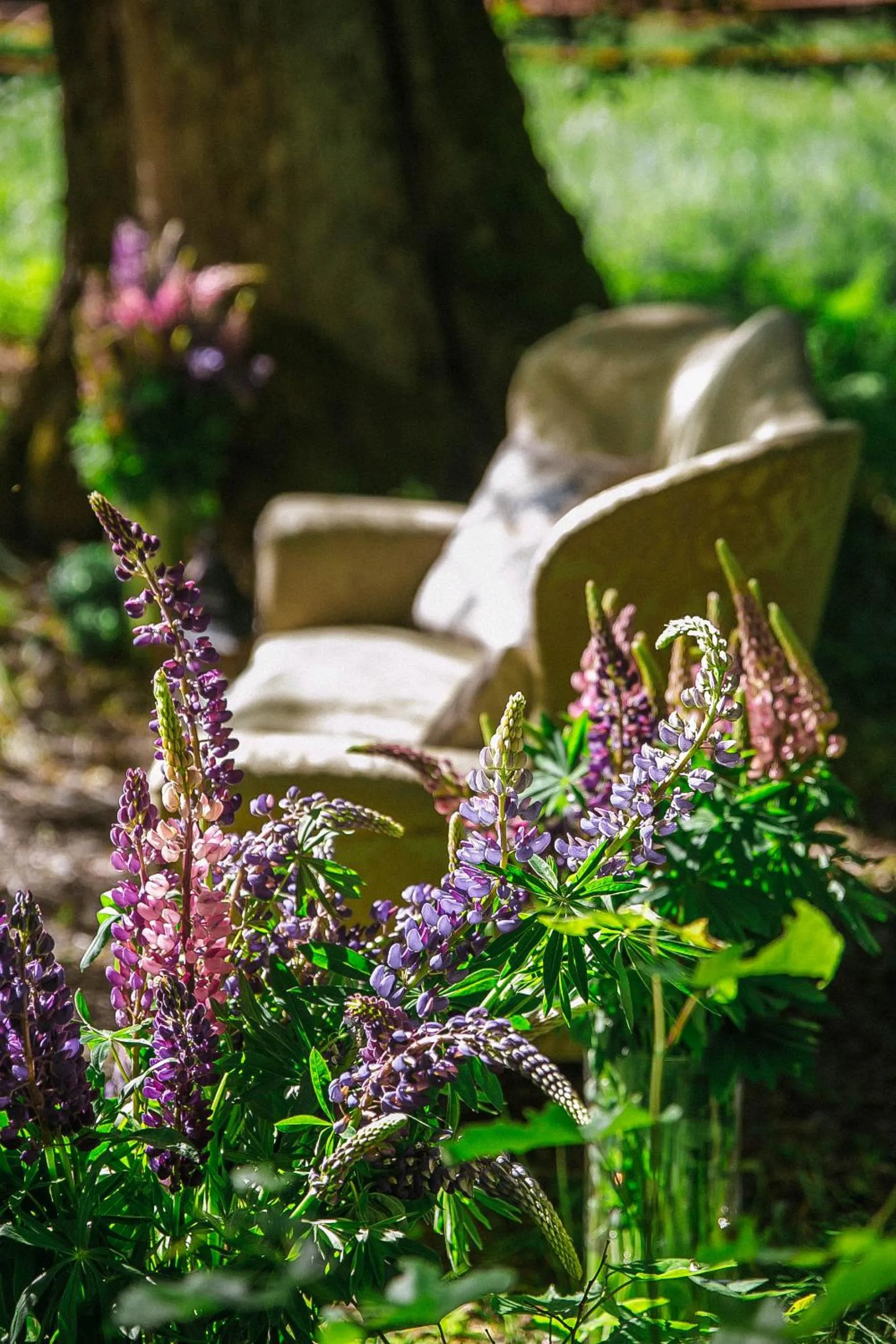 Natural landscape in Lindenhoff