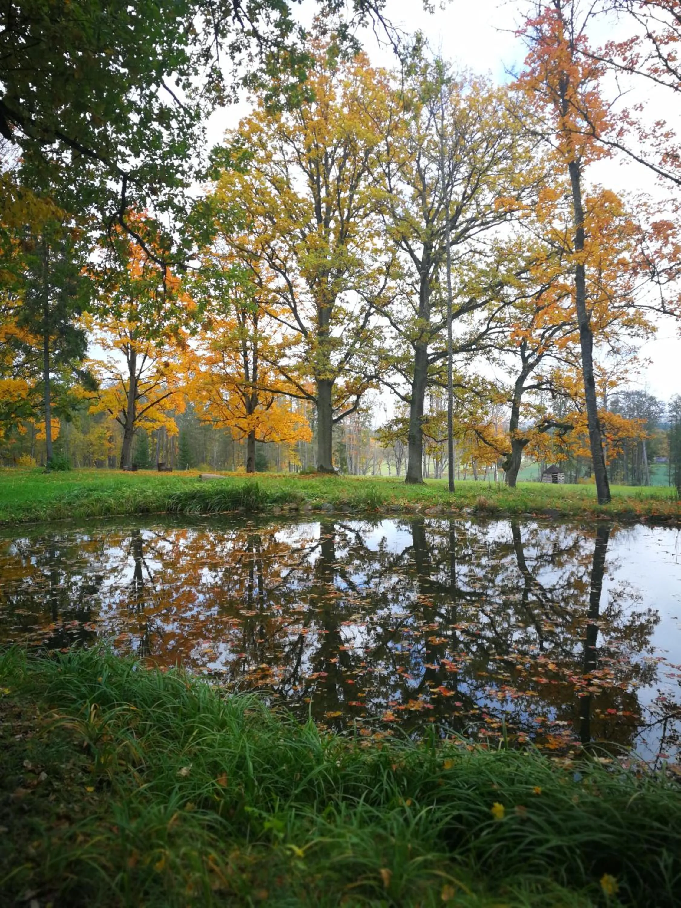 Neighbourhood in Lindenhoff