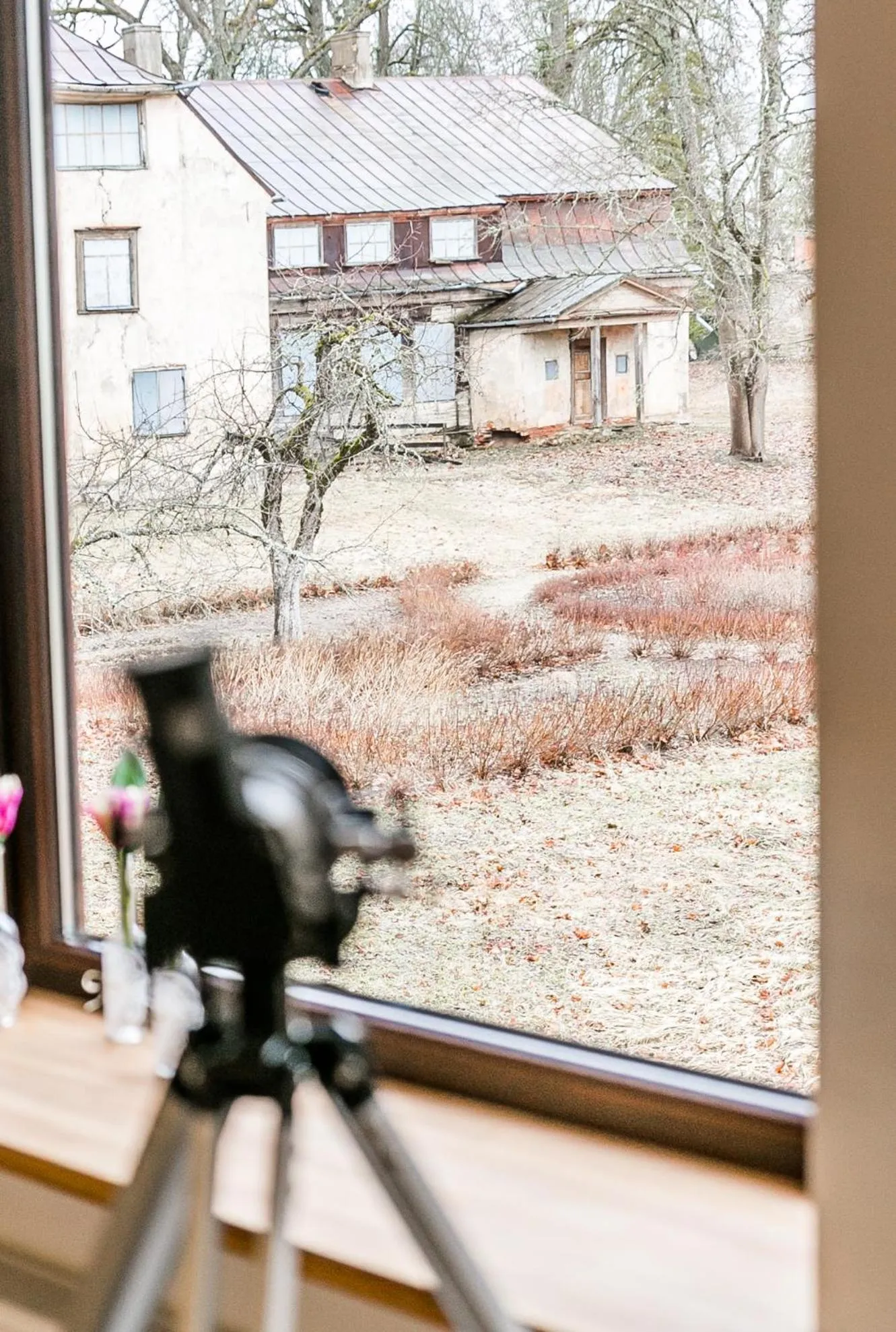 Garden view in Lindenhoff