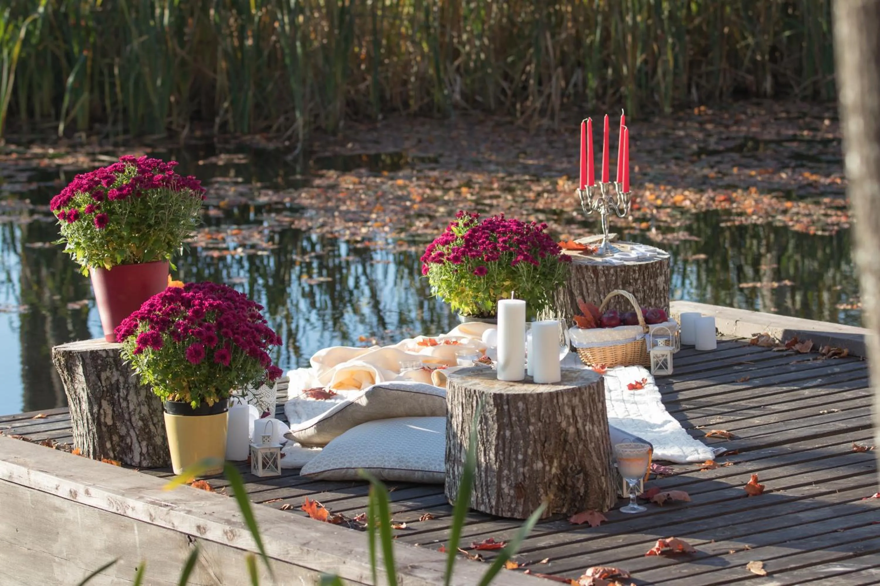 Neighbourhood in Lindenhoff