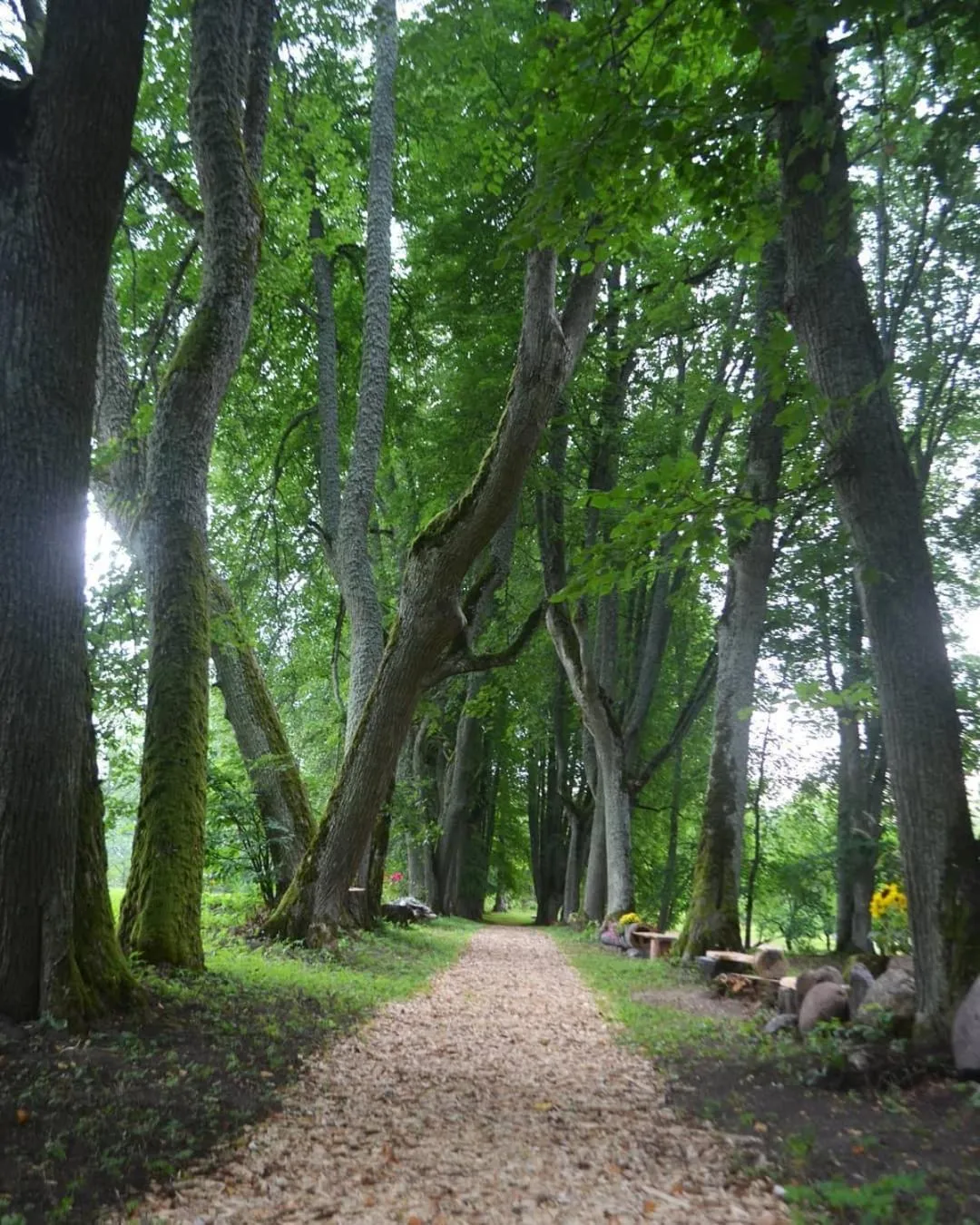 Garden in Lindenhoff