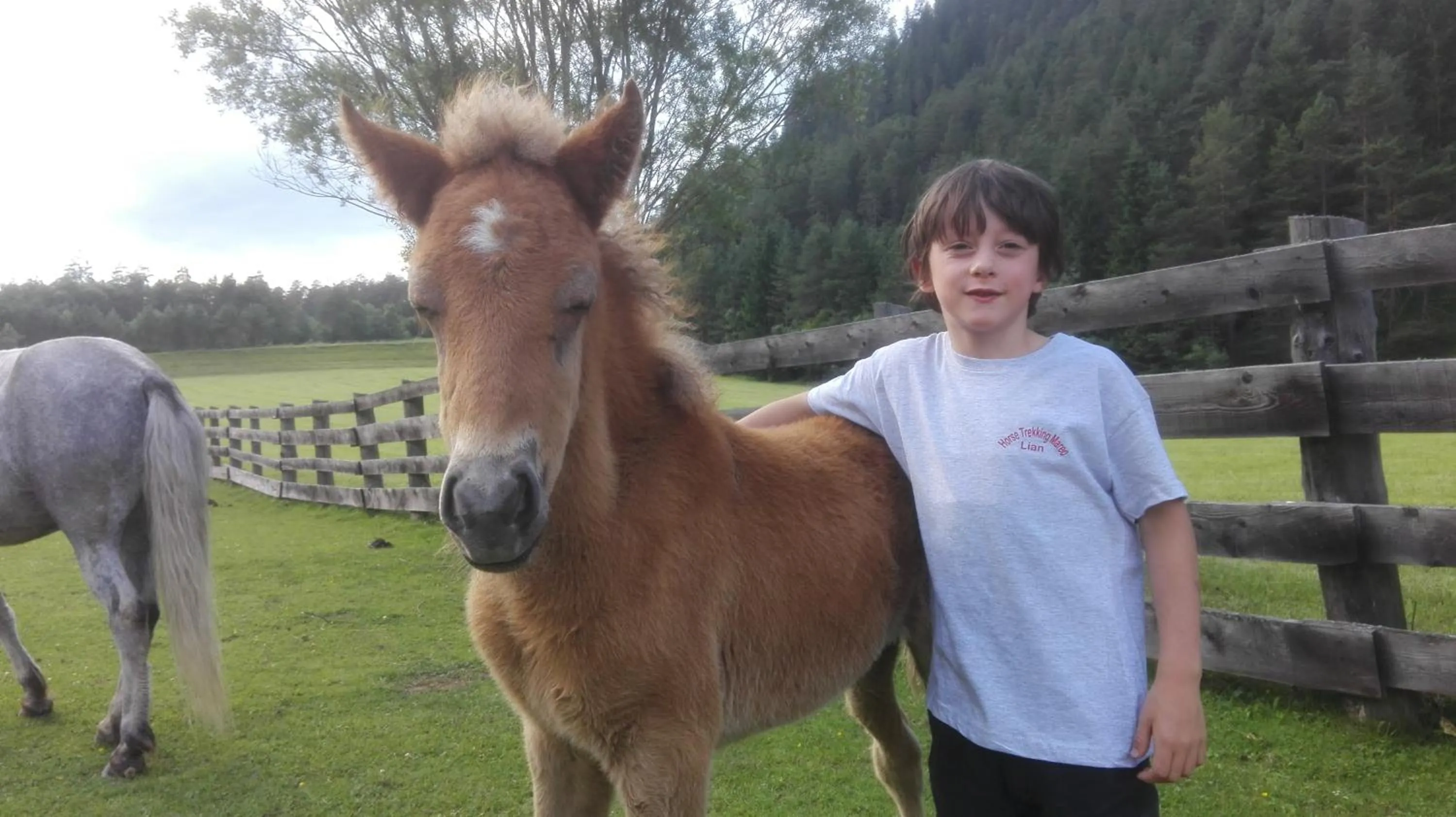 Nearby landmark in Hotel Al Sonnenhof