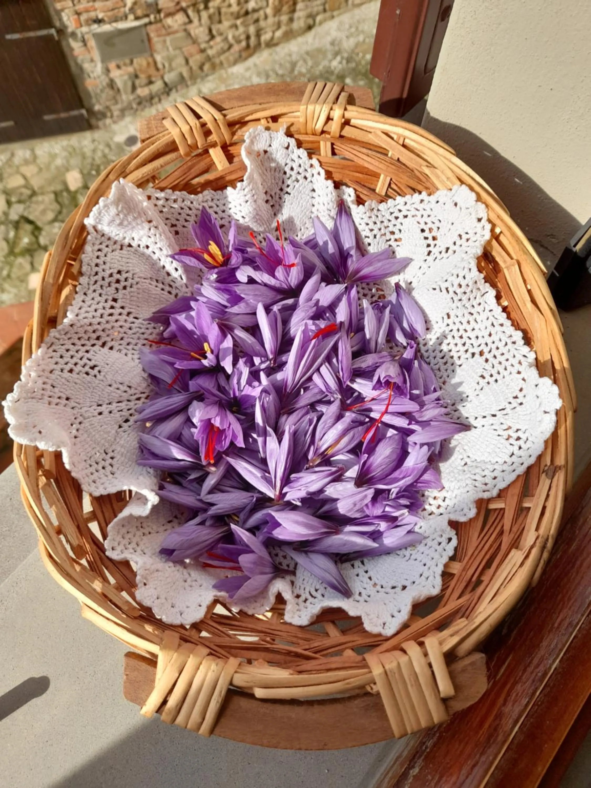 Garden in Antica Bottega di Vinci