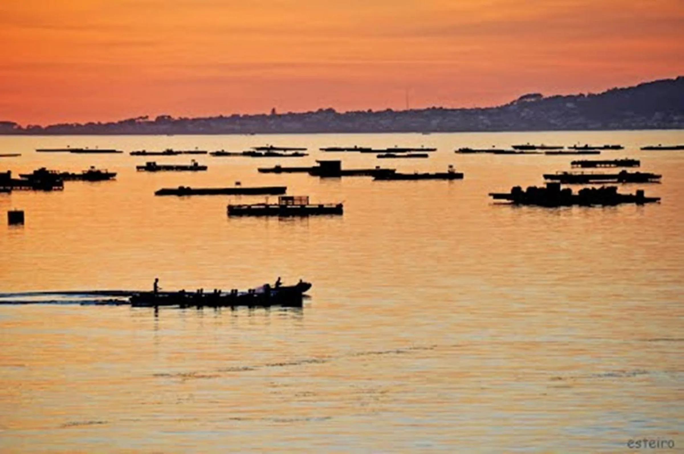 Natural landscape in Hotel La Noyesa *** Superior