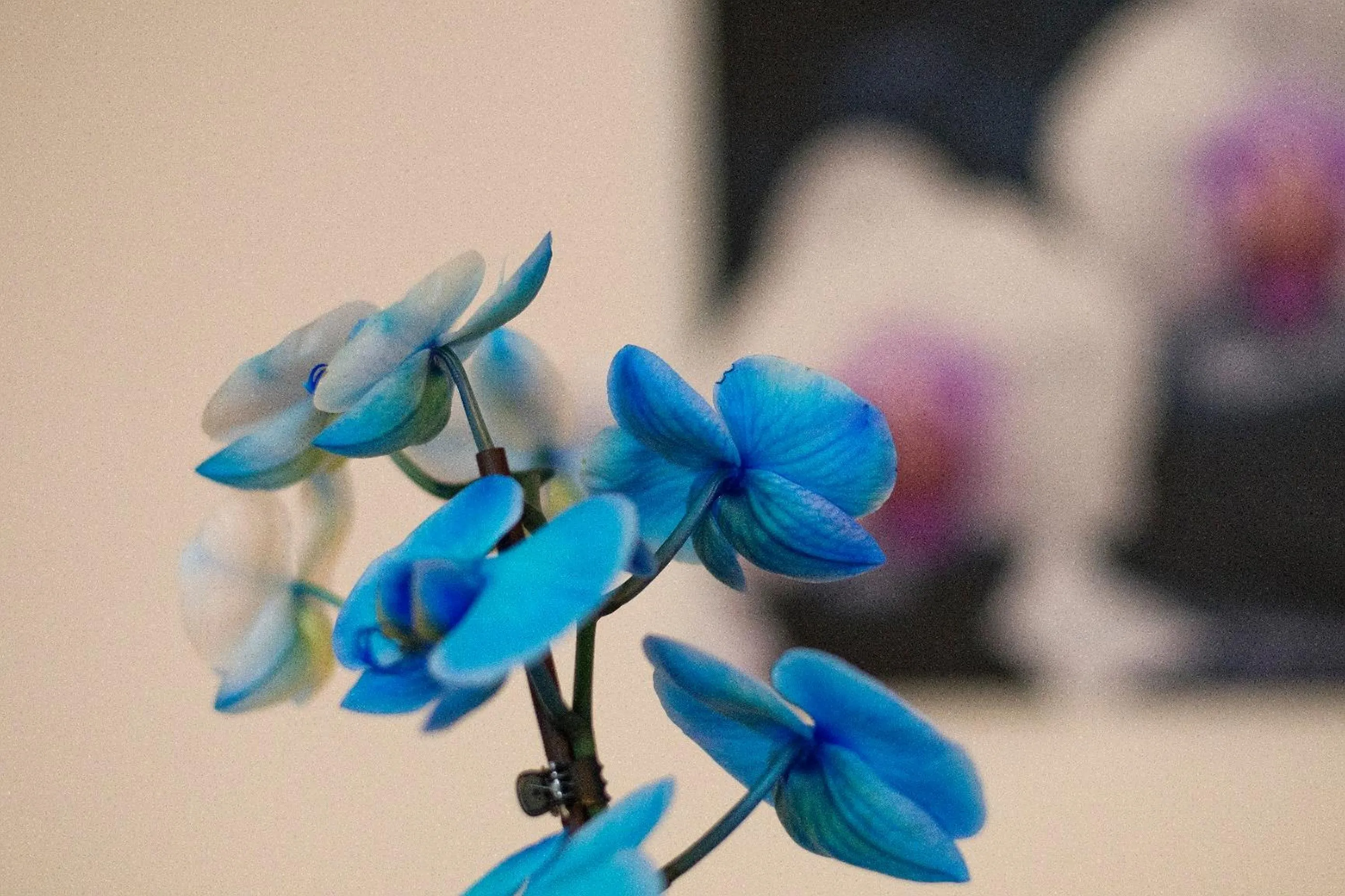 Decorative detail in Hotel Art