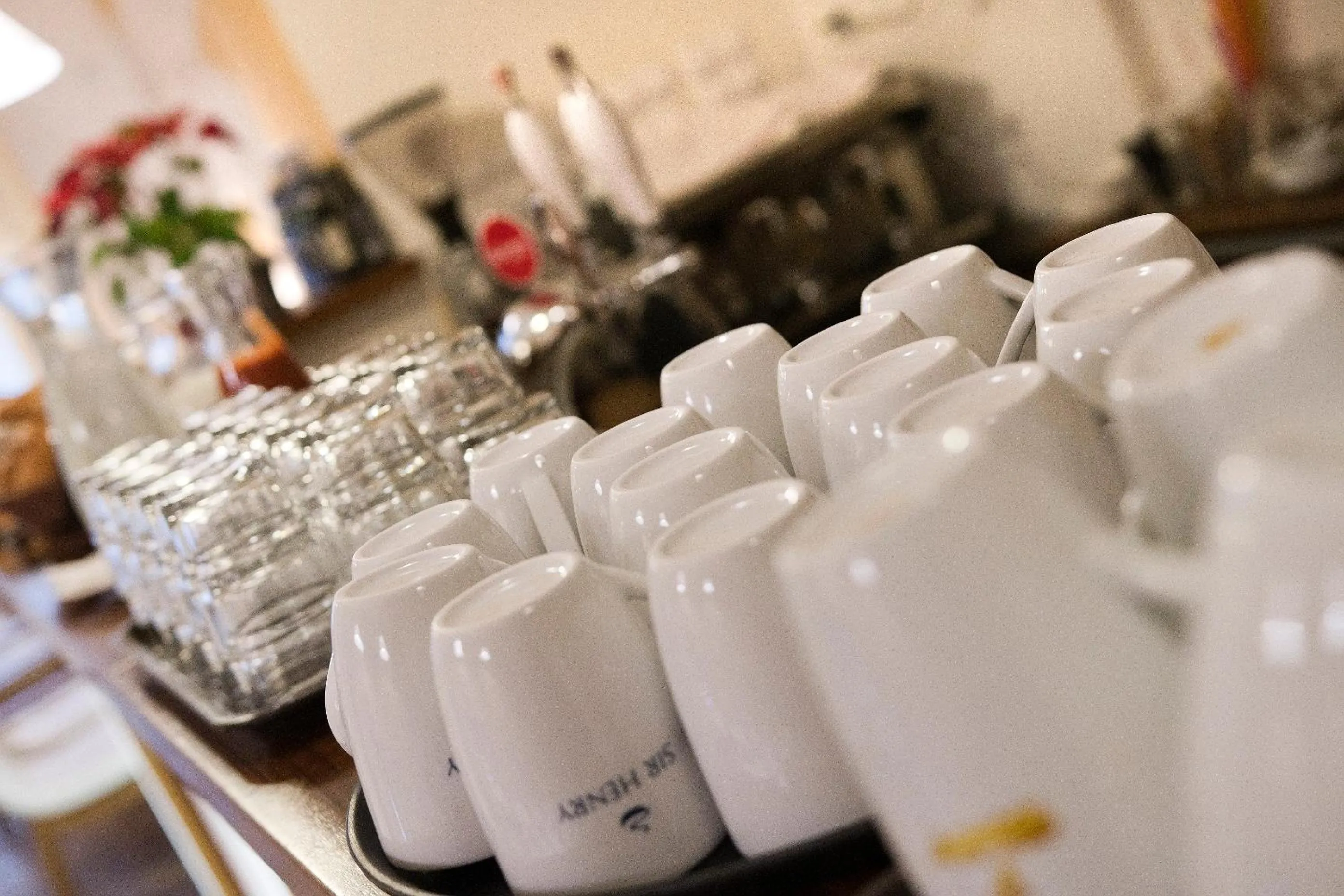 Food and drinks in Hotel Art