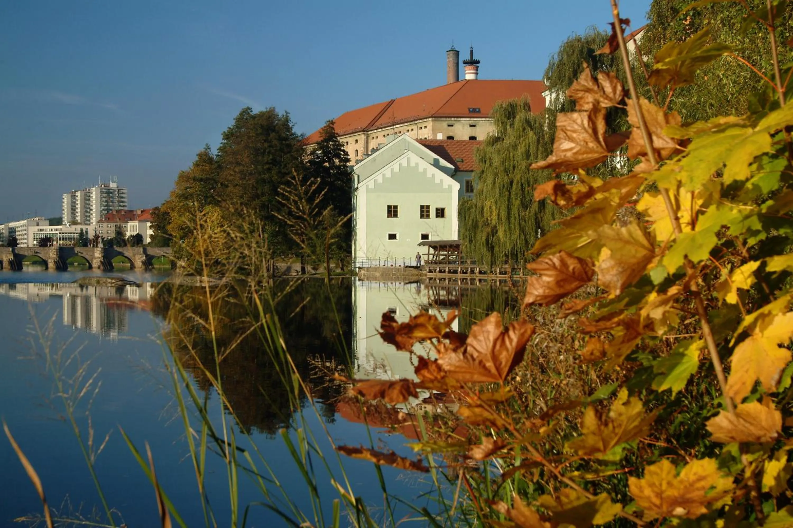 Natural landscape in Hotel Art