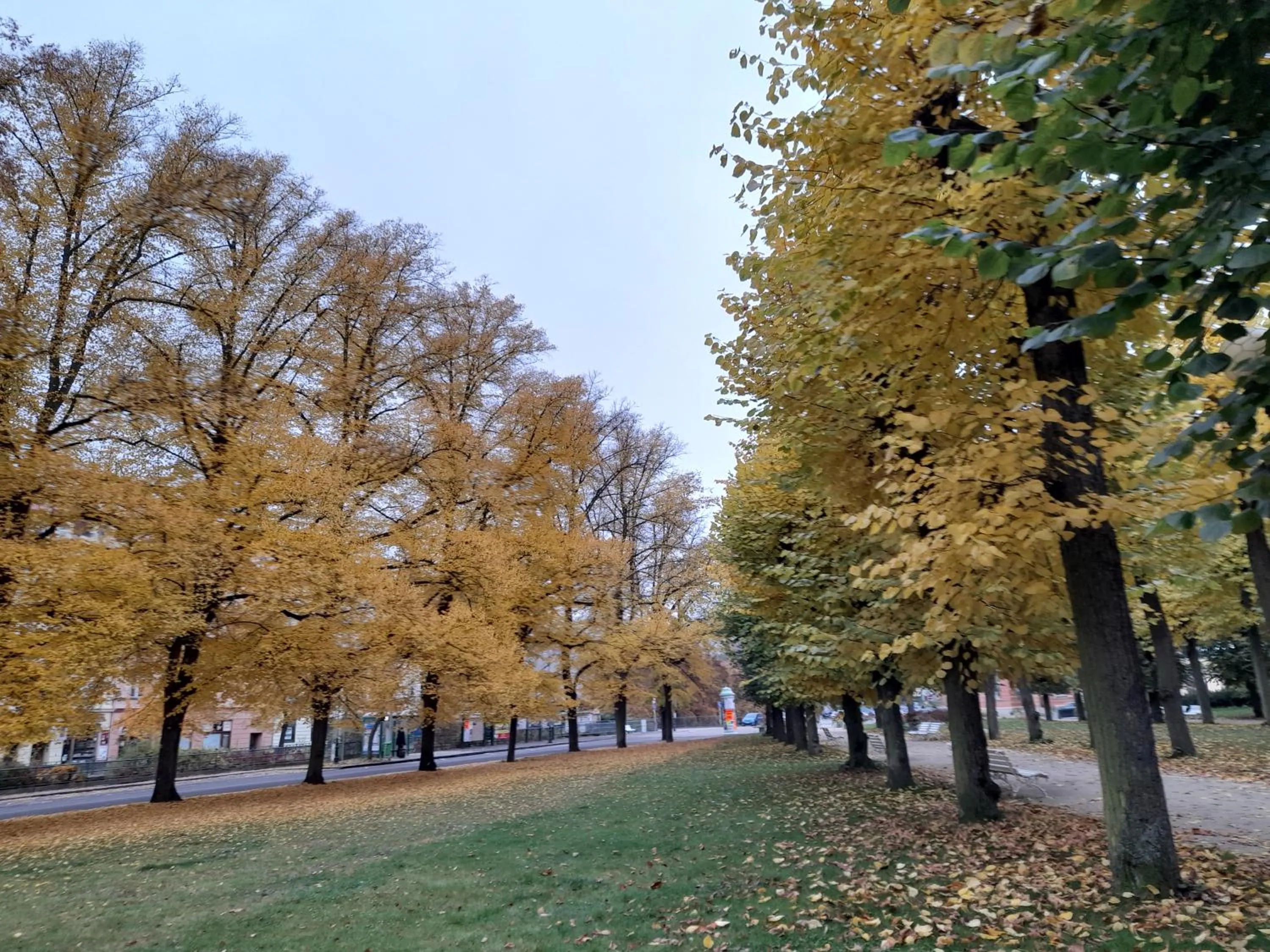 Natural landscape in Romania