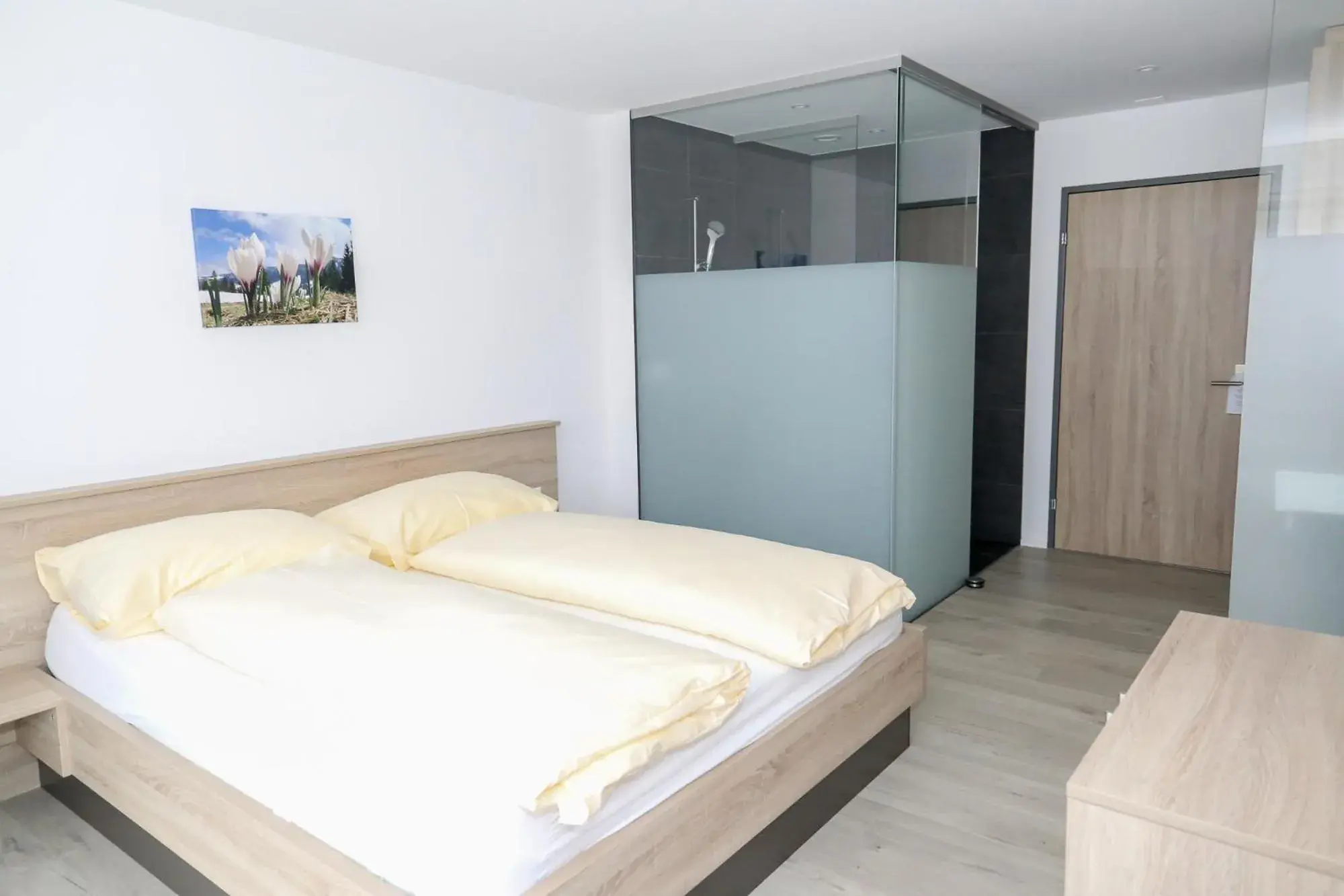 Double Room - single occupancy in Hotel Traube Garni Double Room - single occupancy in Hotel Traube Garni