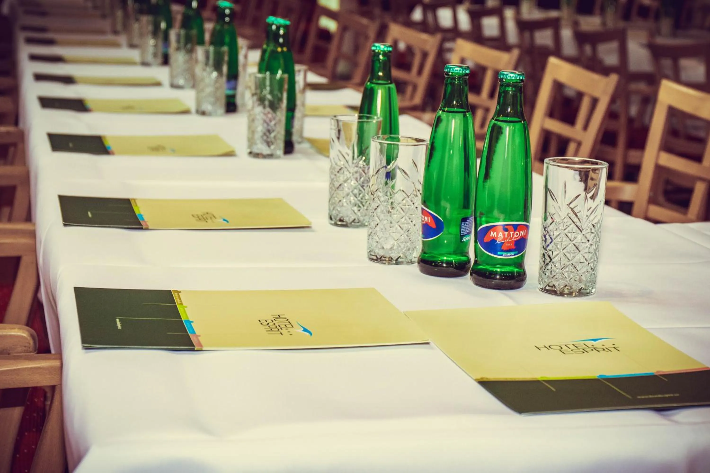 Business facilities in Hotel Esprit