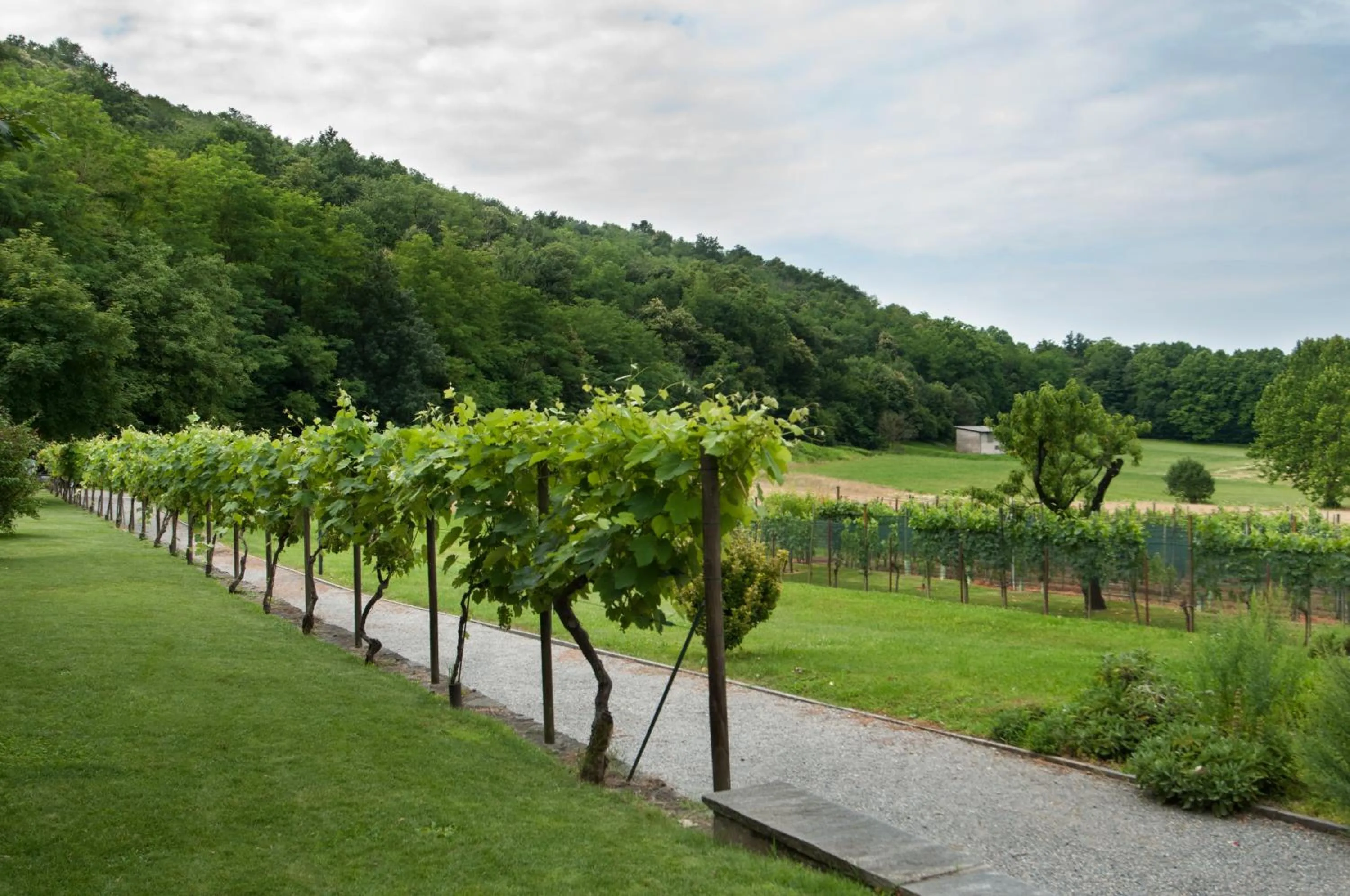 Vecchia Osteria Seseglio