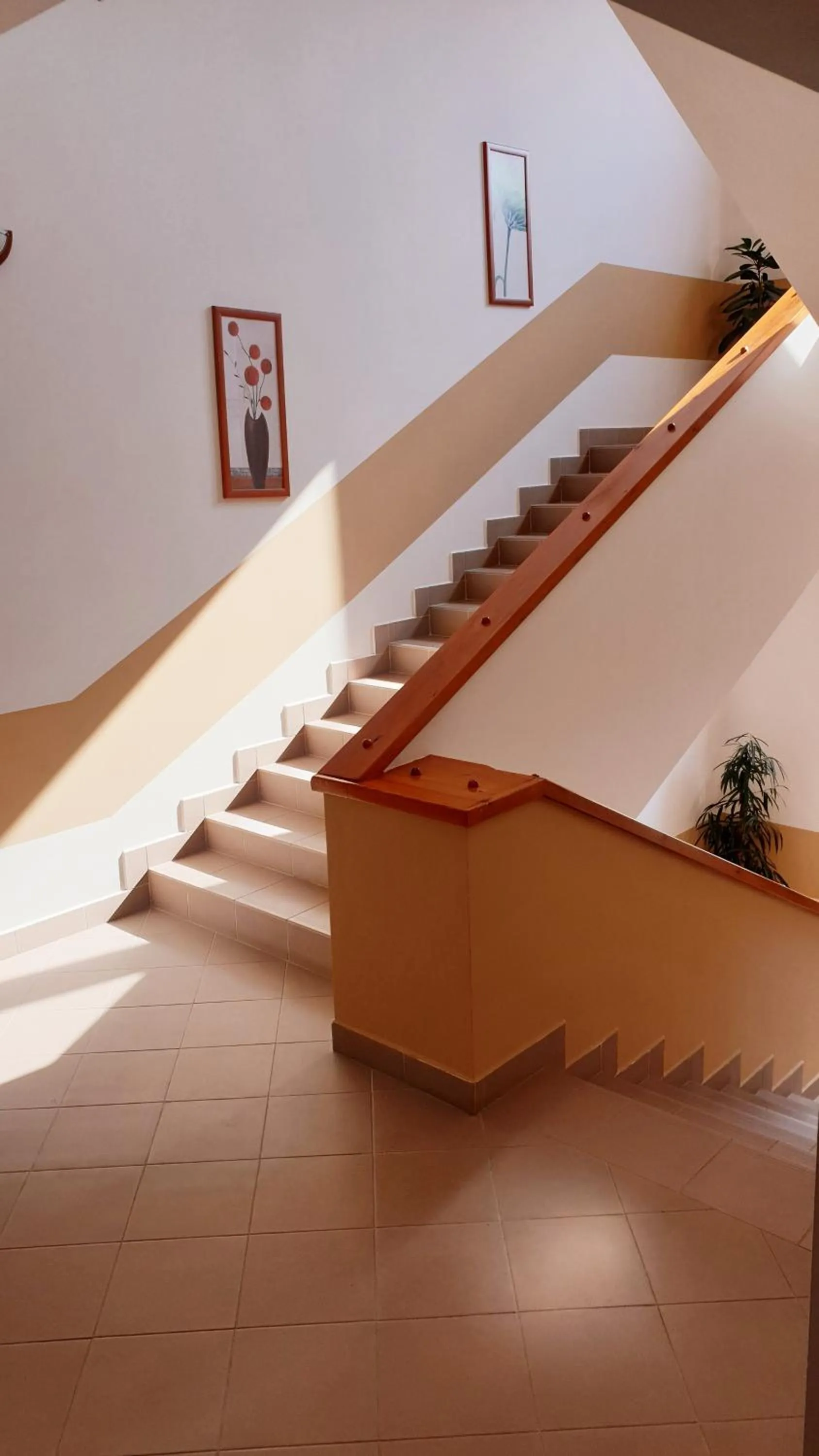 Other in Diana Club Hotel