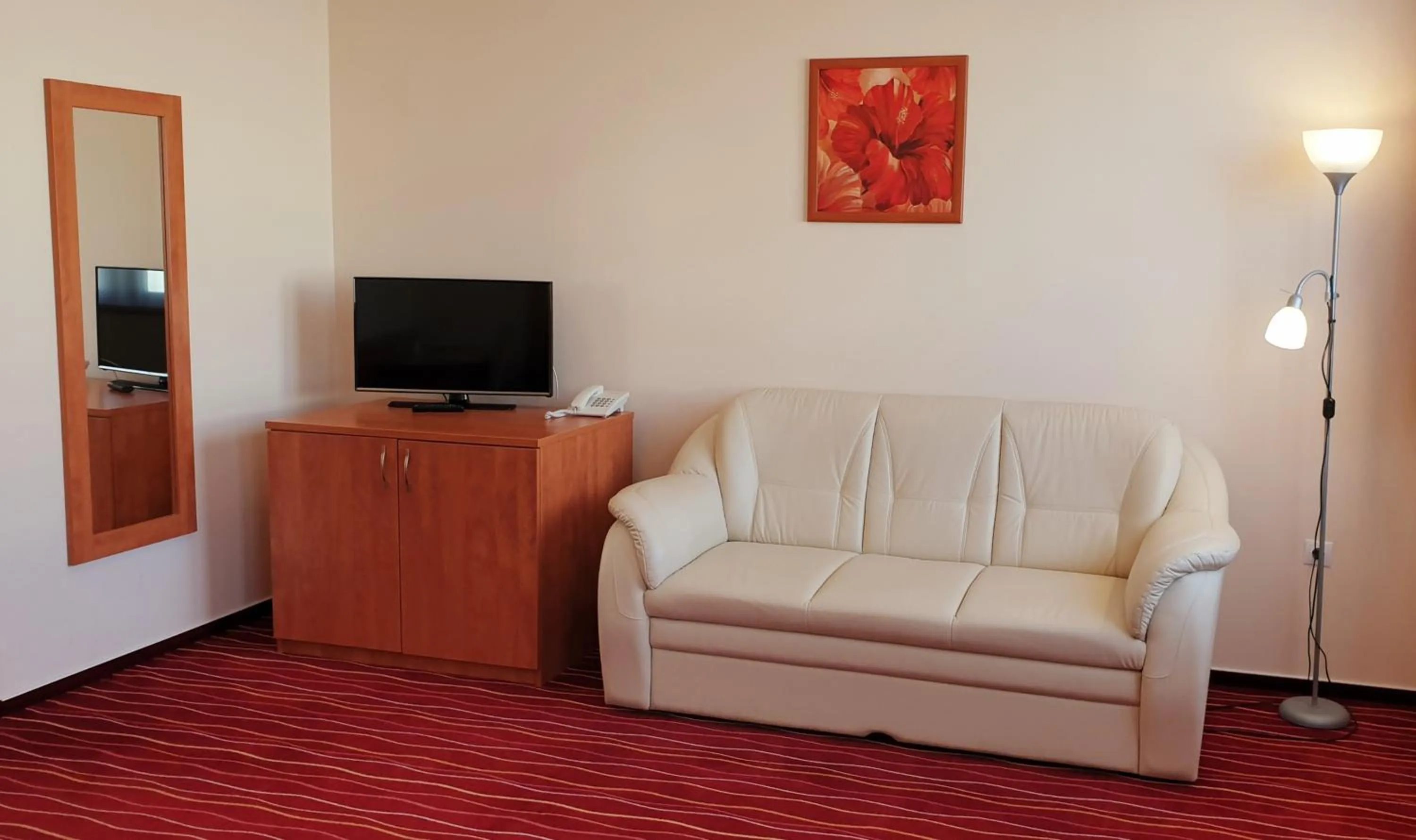 TV and multimedia in Diana Club Hotel