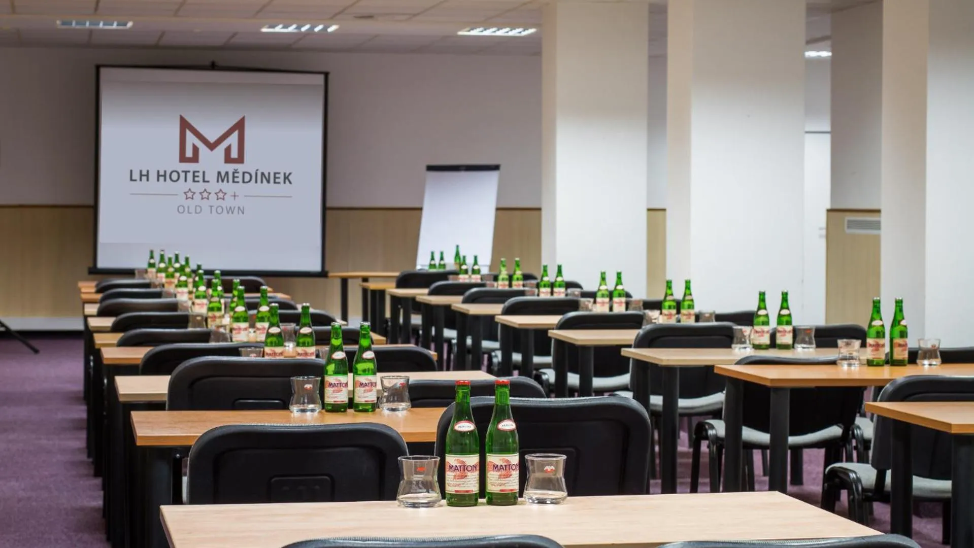 Business facilities in LH Hotel Mědínek Old Town