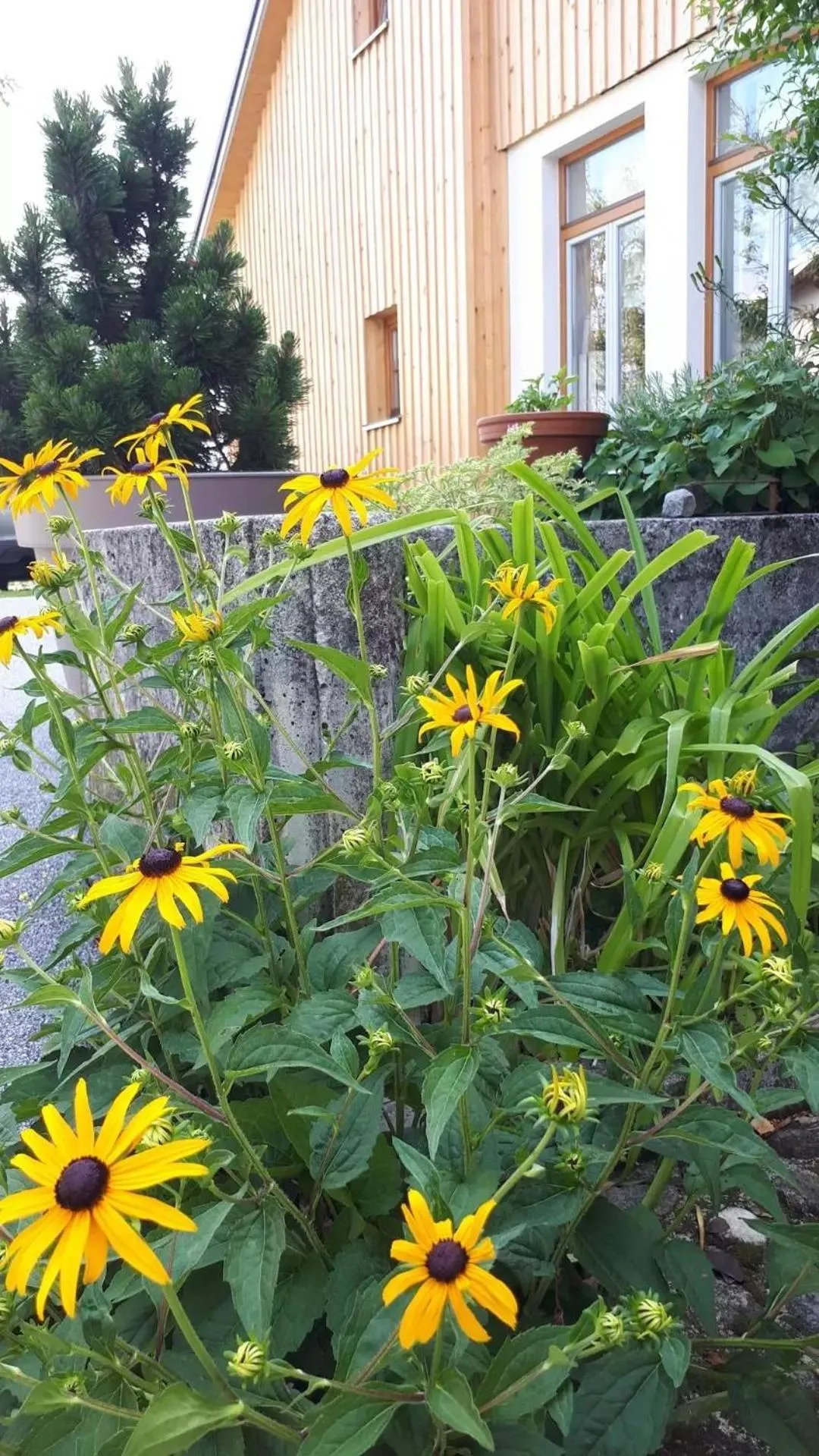 Property building in Mala Kmetija