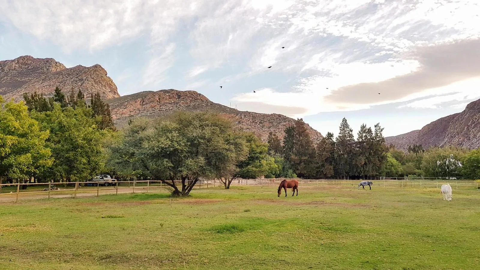 Garden in De Bos Cottages