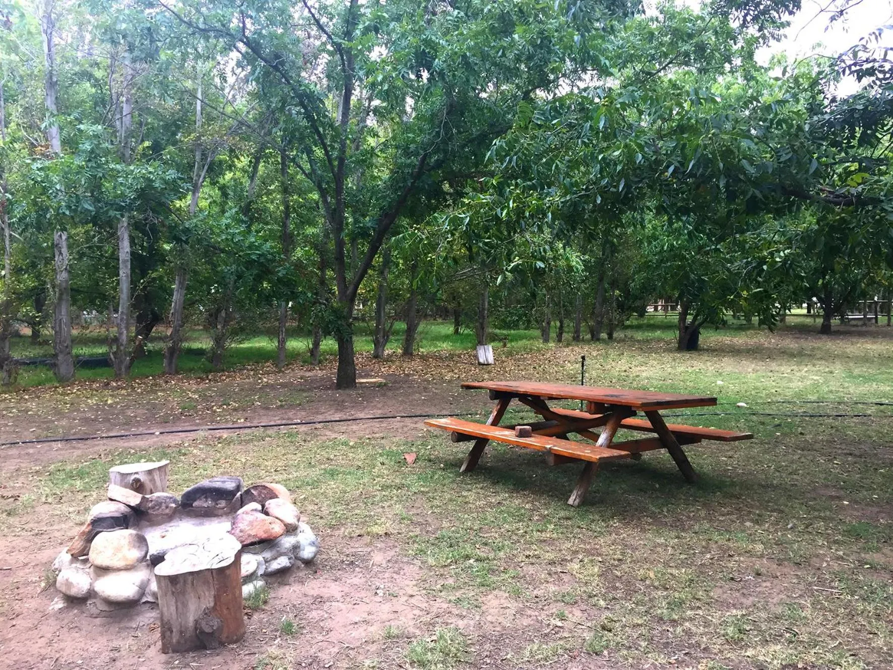 BBQ facilities in De Bos Cottages