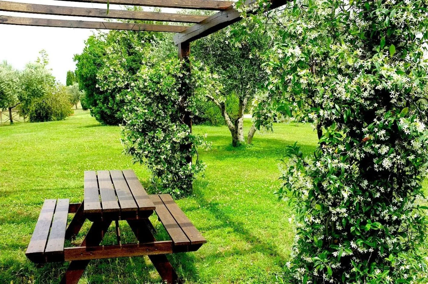 Other in Casale Giacomini