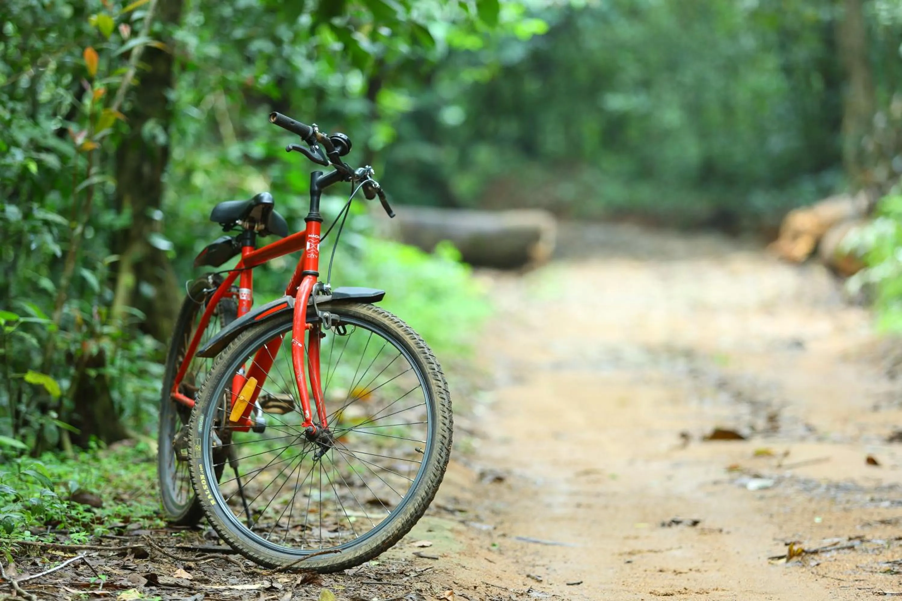 Sports in Vagamon Heights