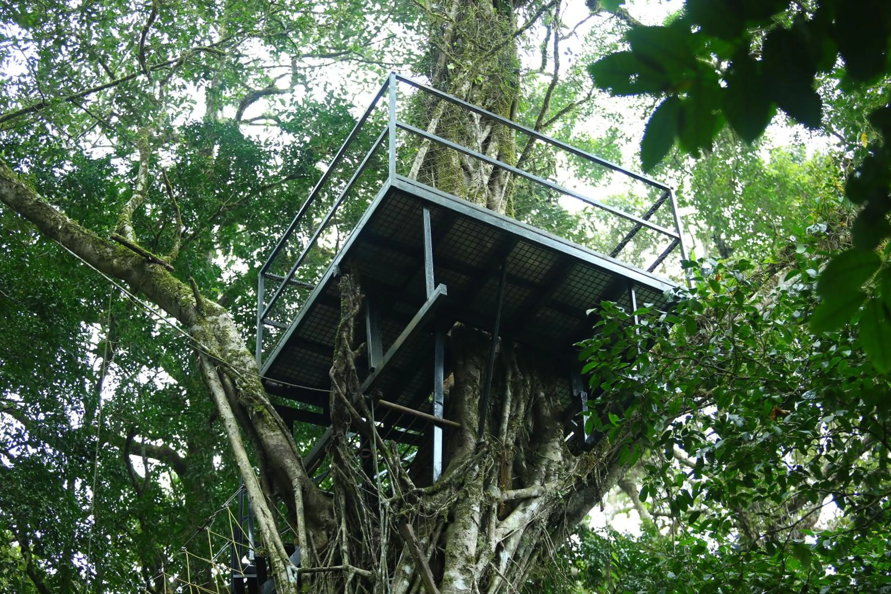 Balcony/Terrace in Vagamon Heights