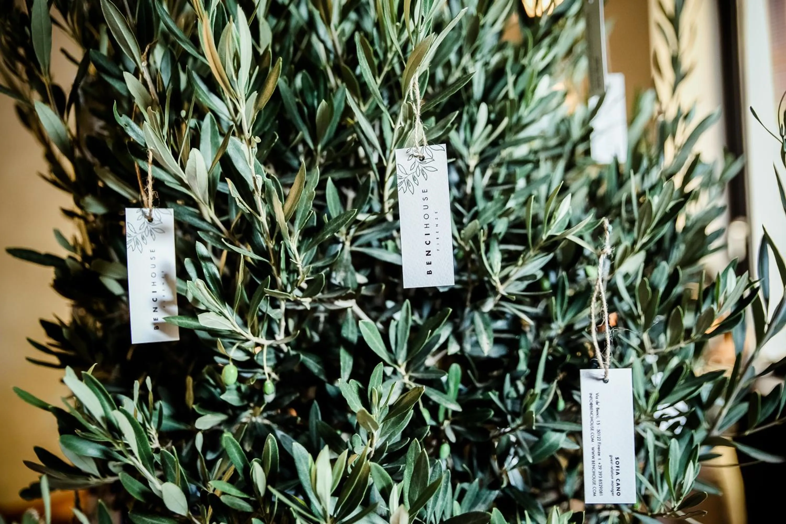 Seasons in Benci House