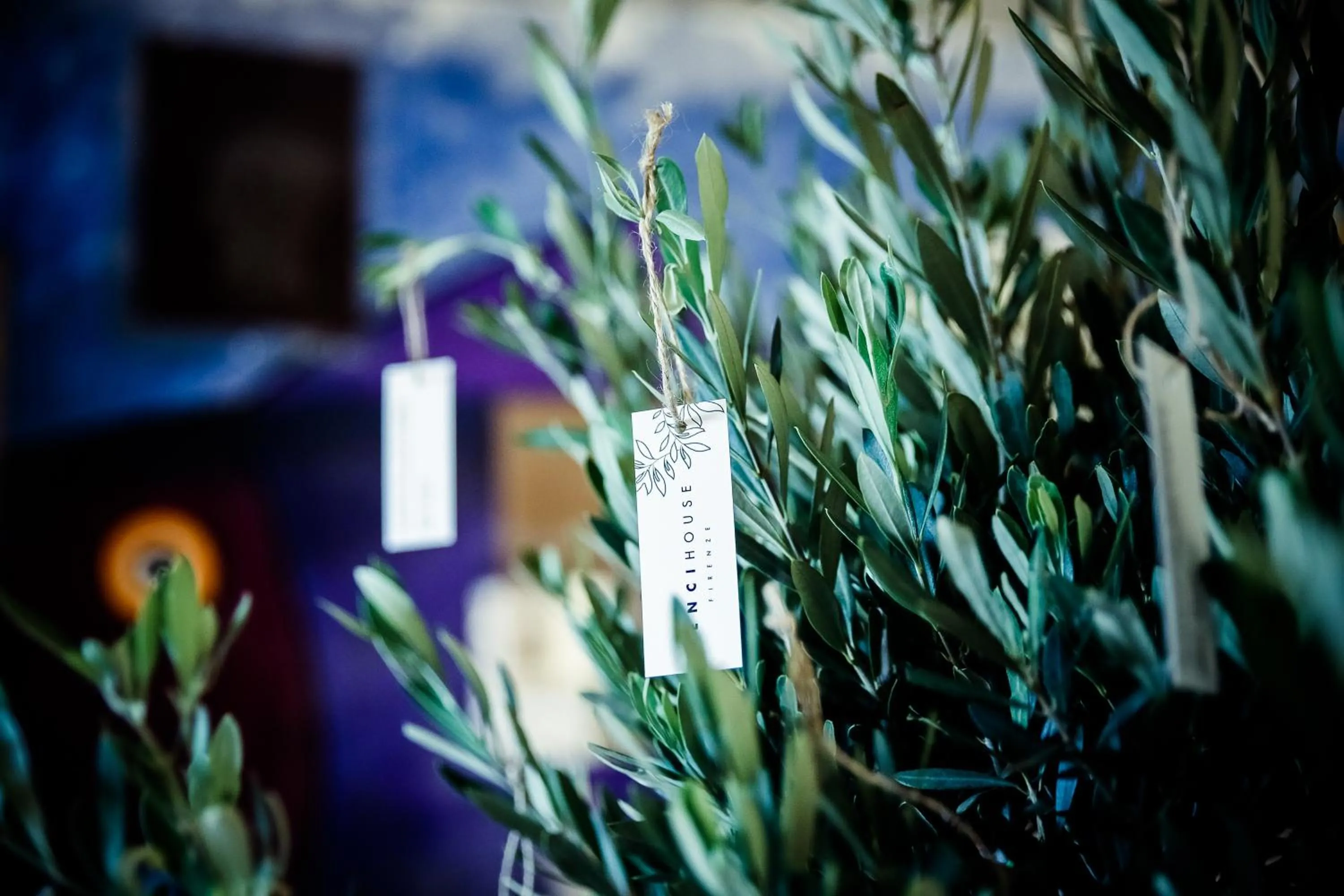 Property logo or sign in Benci House