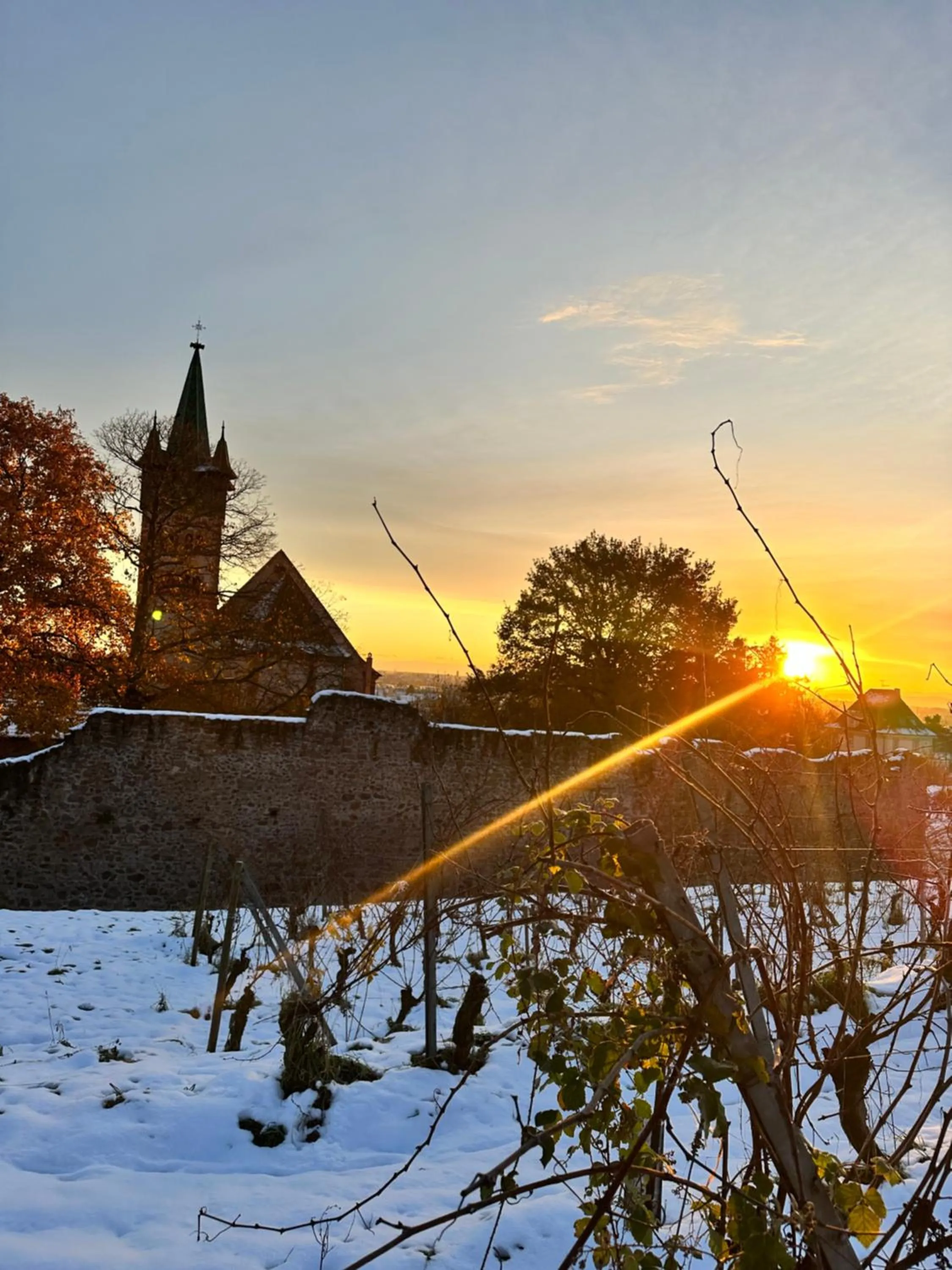 Auberge Le Meisenberg